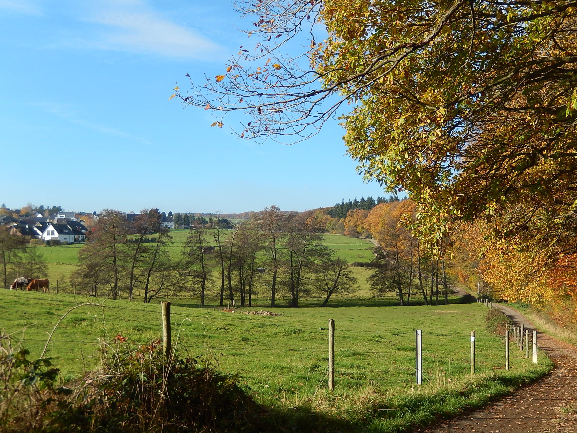 Naturpark Rheinland