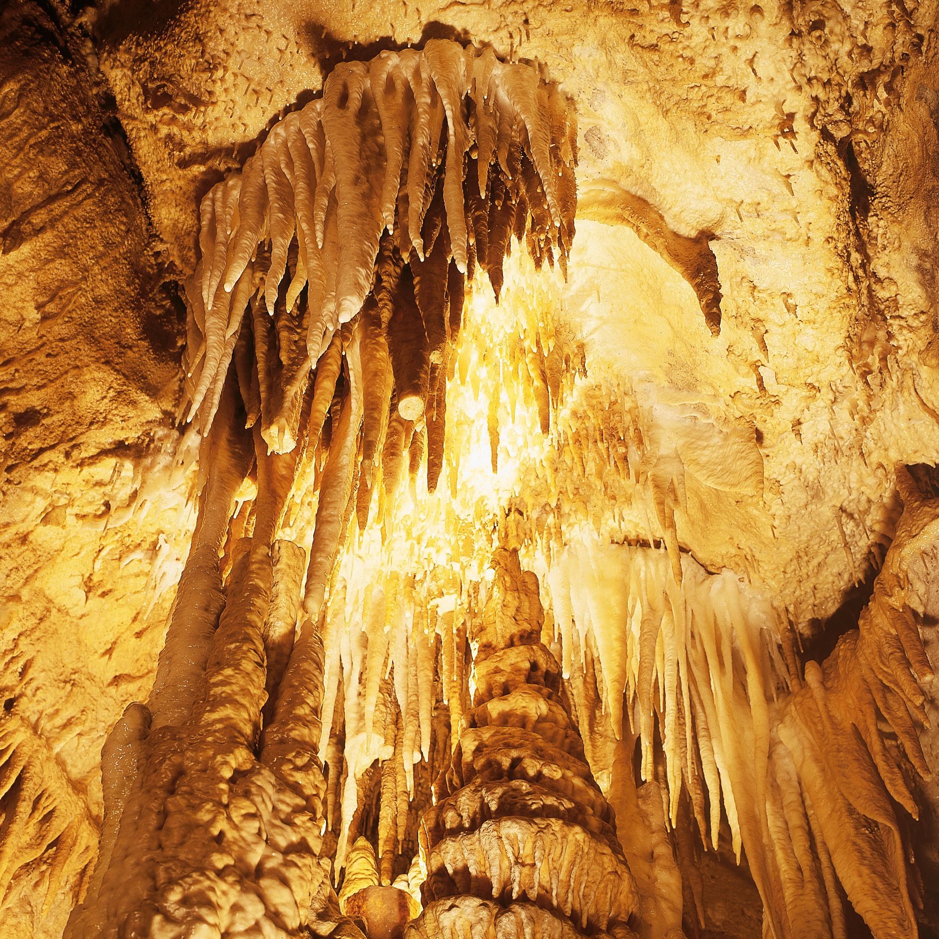 Attendorner Tropfsteinhöhle, Blick in die Atta Höhle