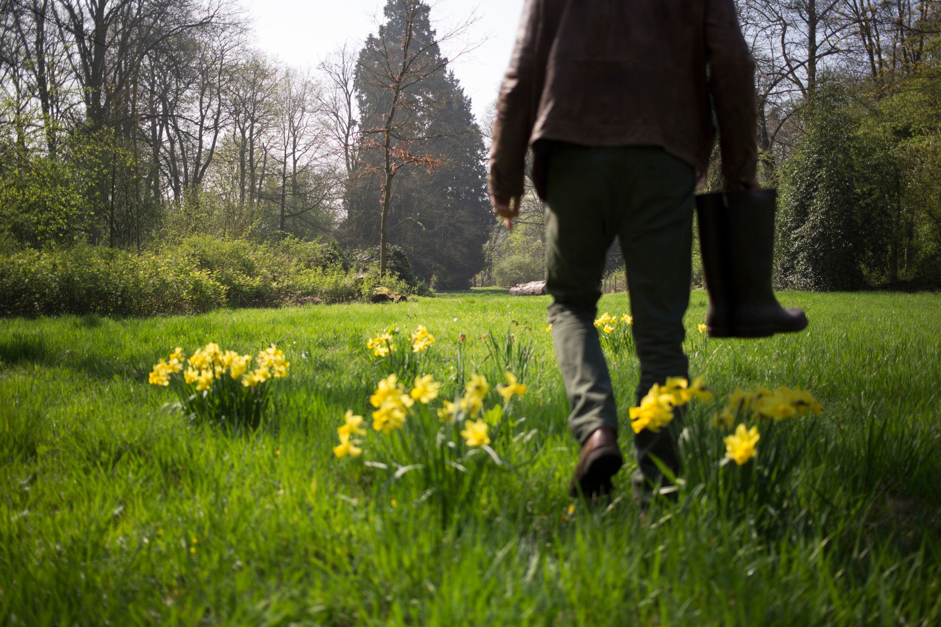 Severin von Hoensbroech im Schlosspark mit Blumen, Rhein-Erft-Kreis