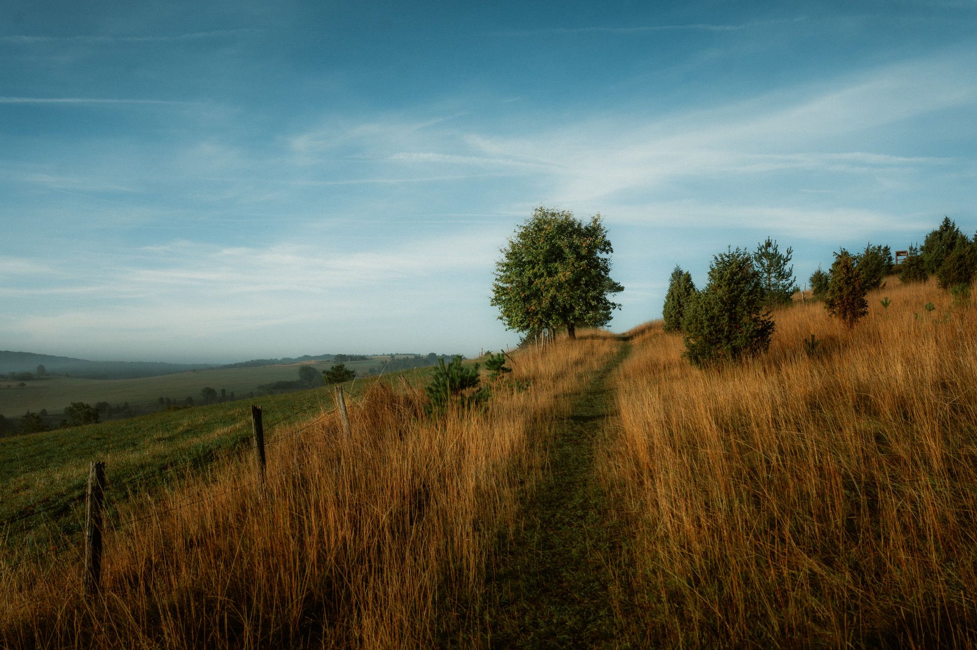 Der Weg "Toskana der Eifel" führt auf den Kalvarienberg bei Alendorf.