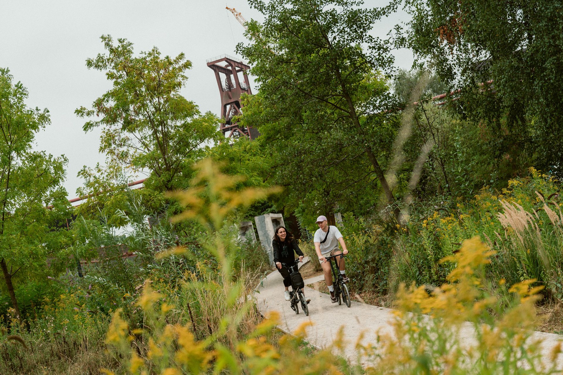 Pure nature at Zollverein 