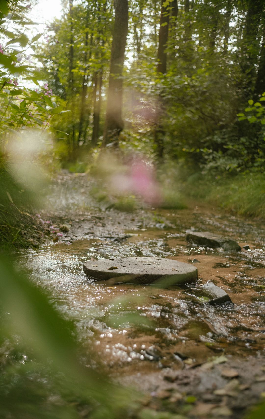 Tourismus NRW e.V., Nature in the Bergisches Land