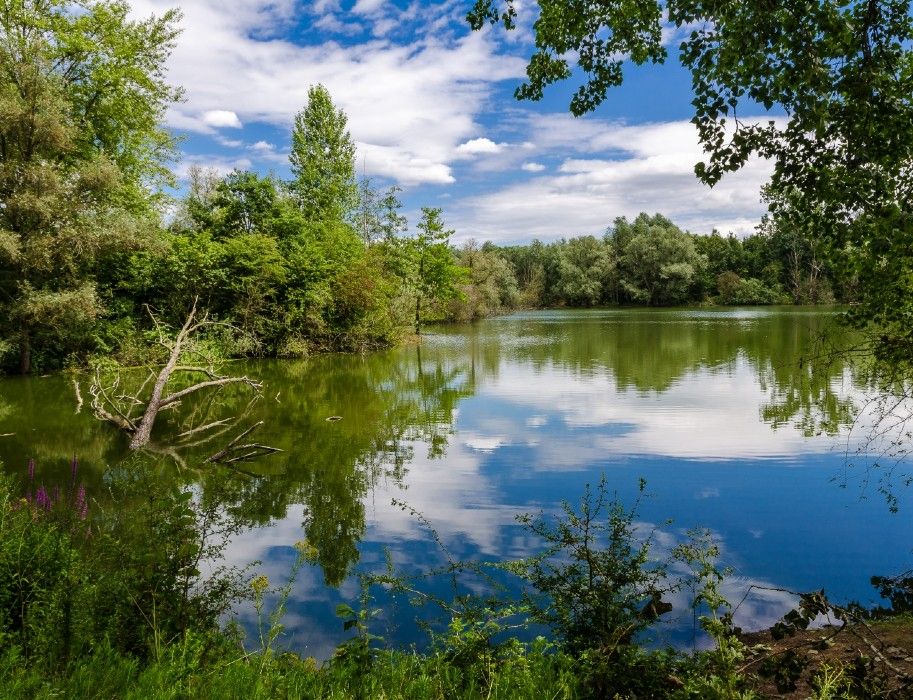 Floodplain landscape