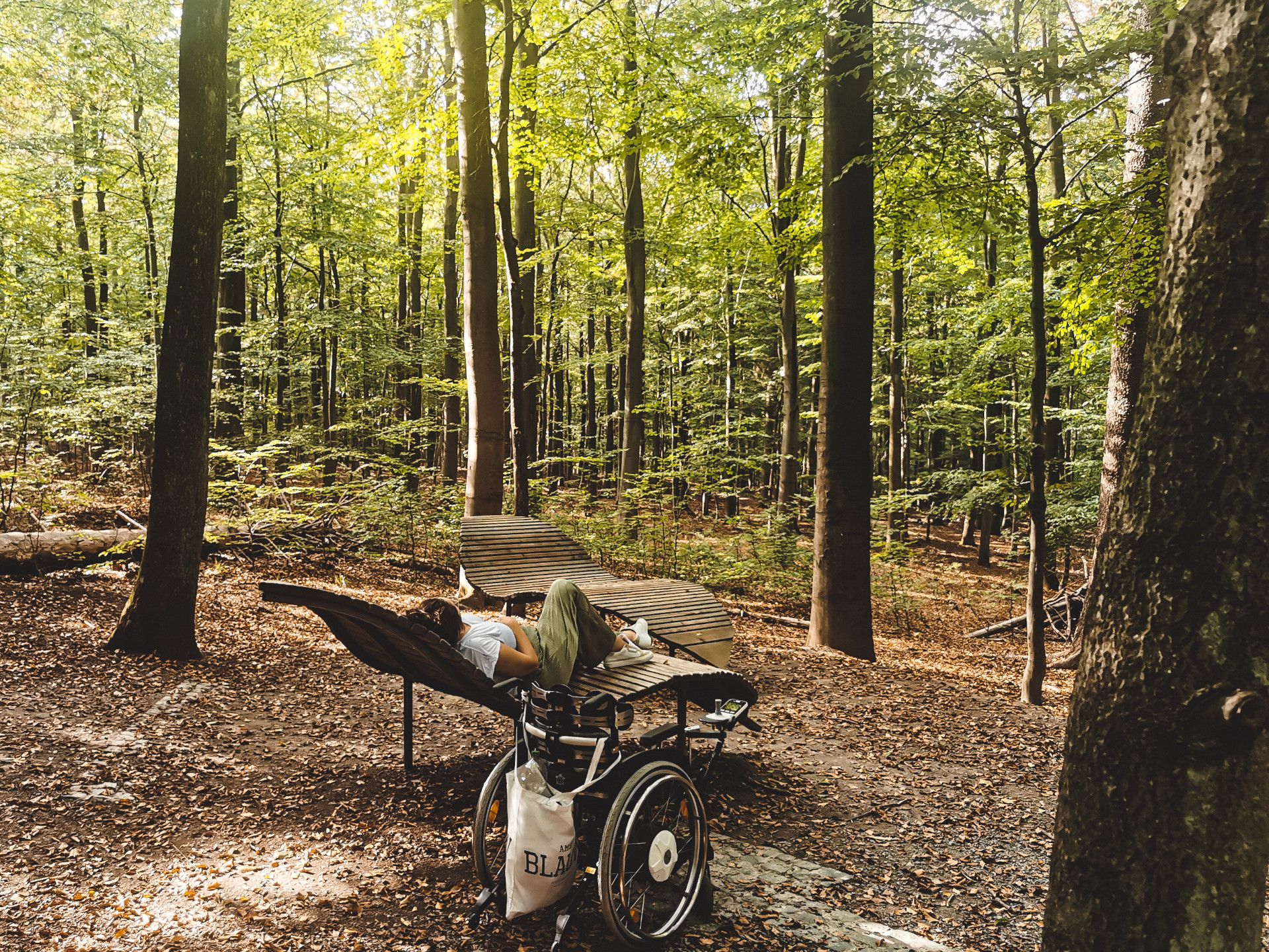 Rollstuhlfahrer*in im Nationalpark Eifel