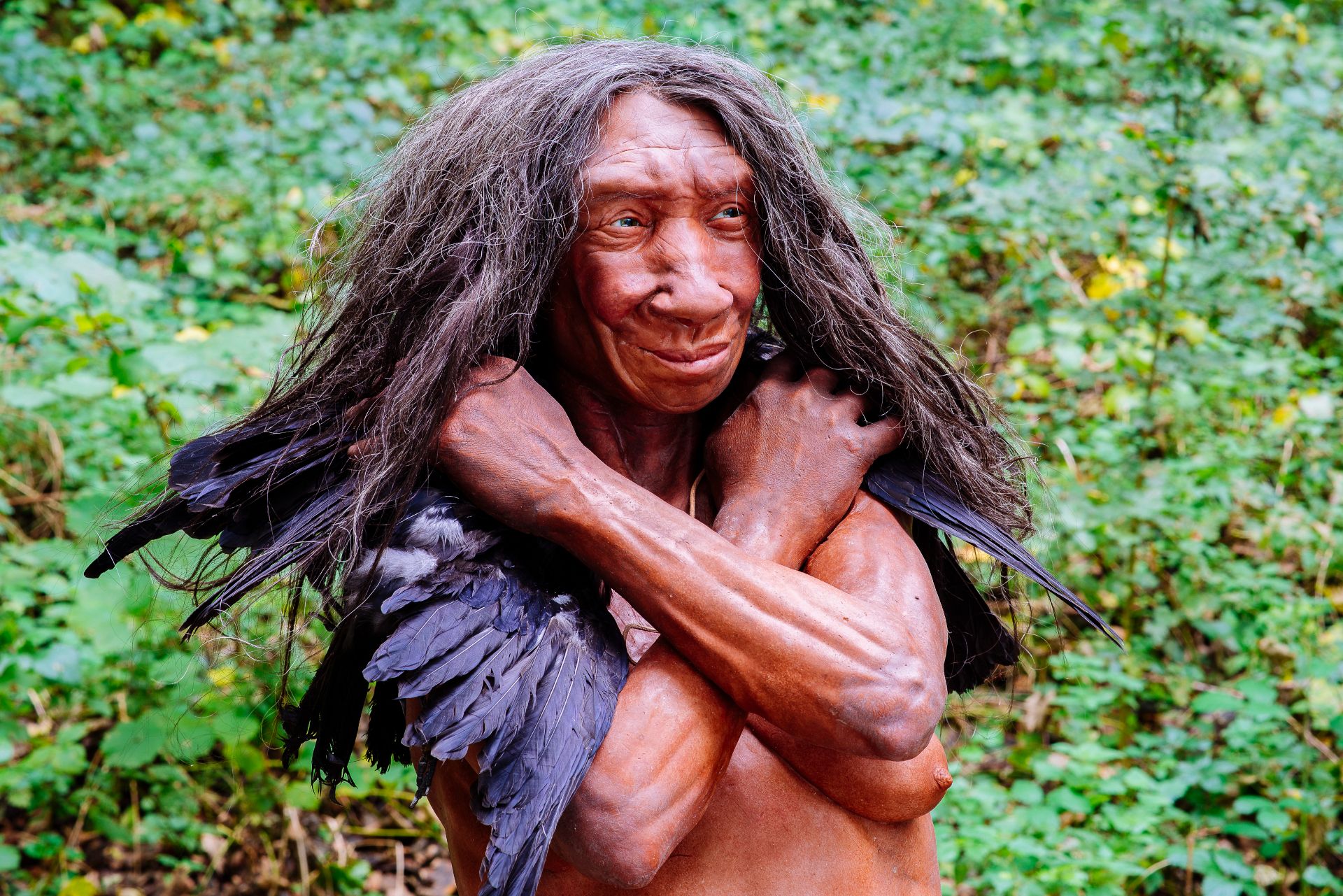 The exhibition at the Neanderthal Museum focuses on the life stories of individual Neanderthal women. Life-size figures illustrate what they looked like