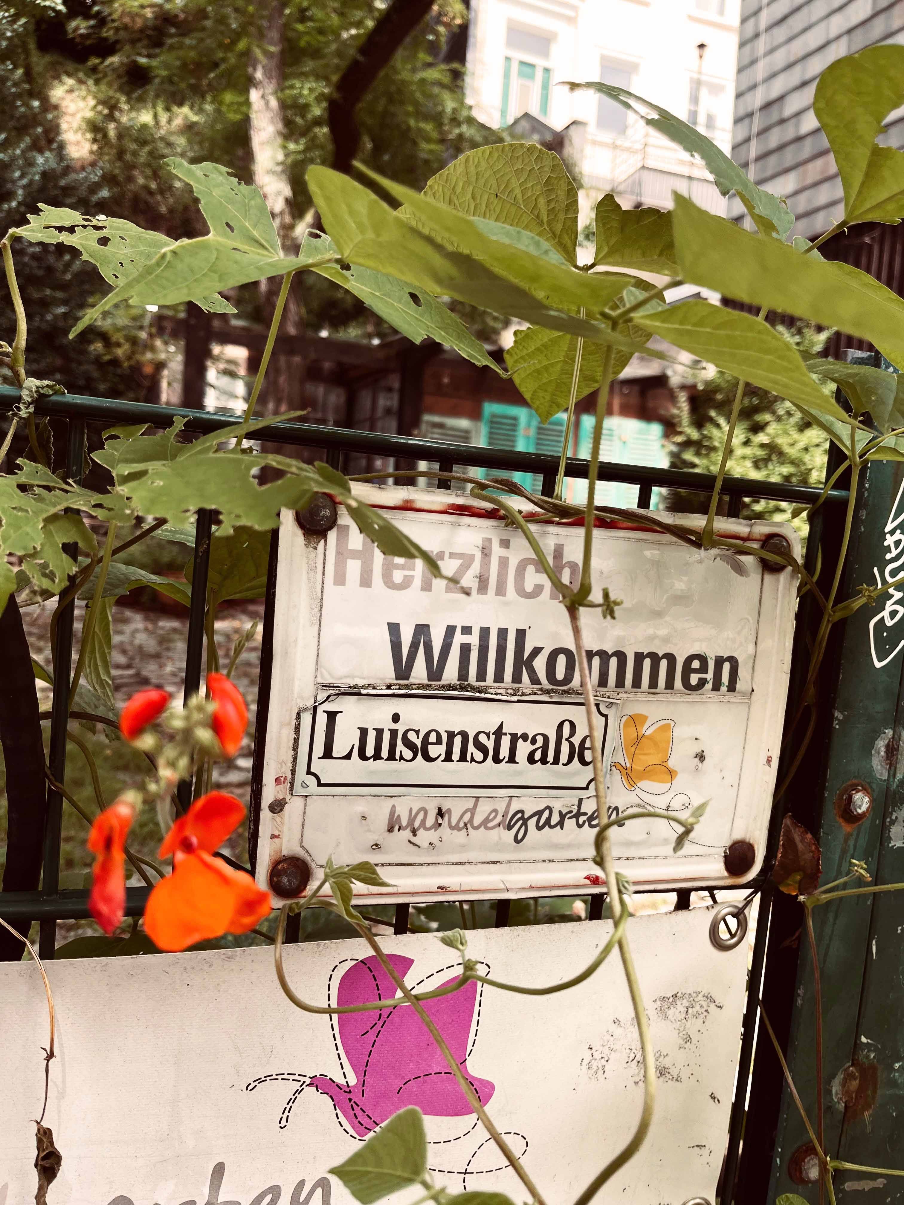 Urban Gardening im Luisenviertel in Wuppertal