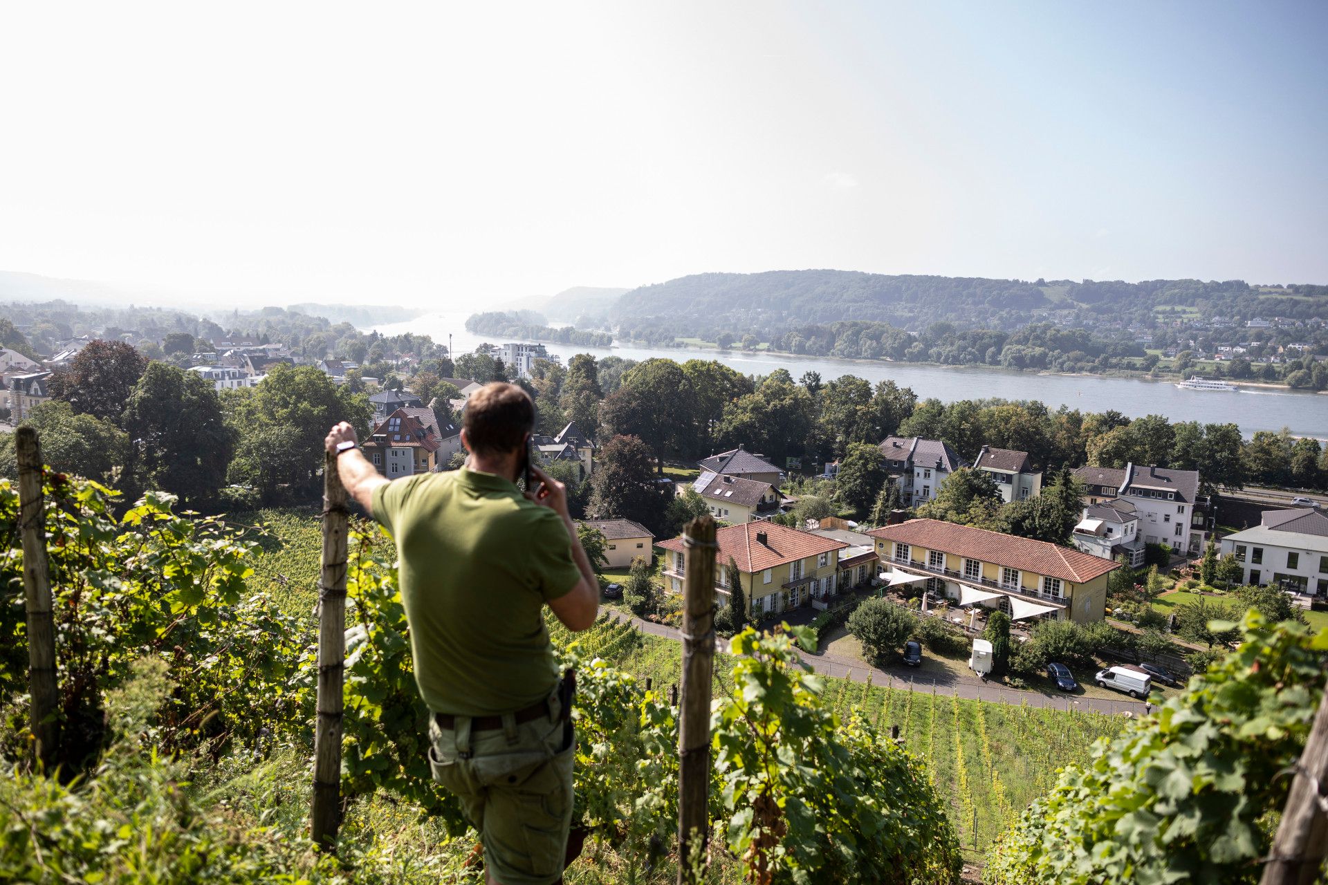 Felix Pieper im Weinhang, Rhein-Sieg-Kreis