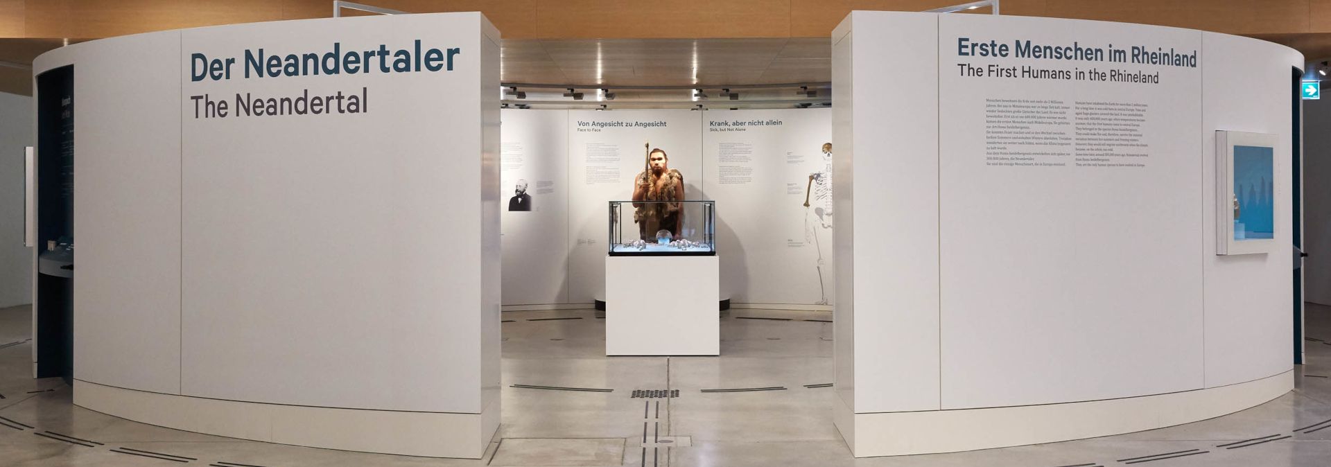 Guests can get closer to the world-famous Neanderthal man in a rotunda in the museum foyer