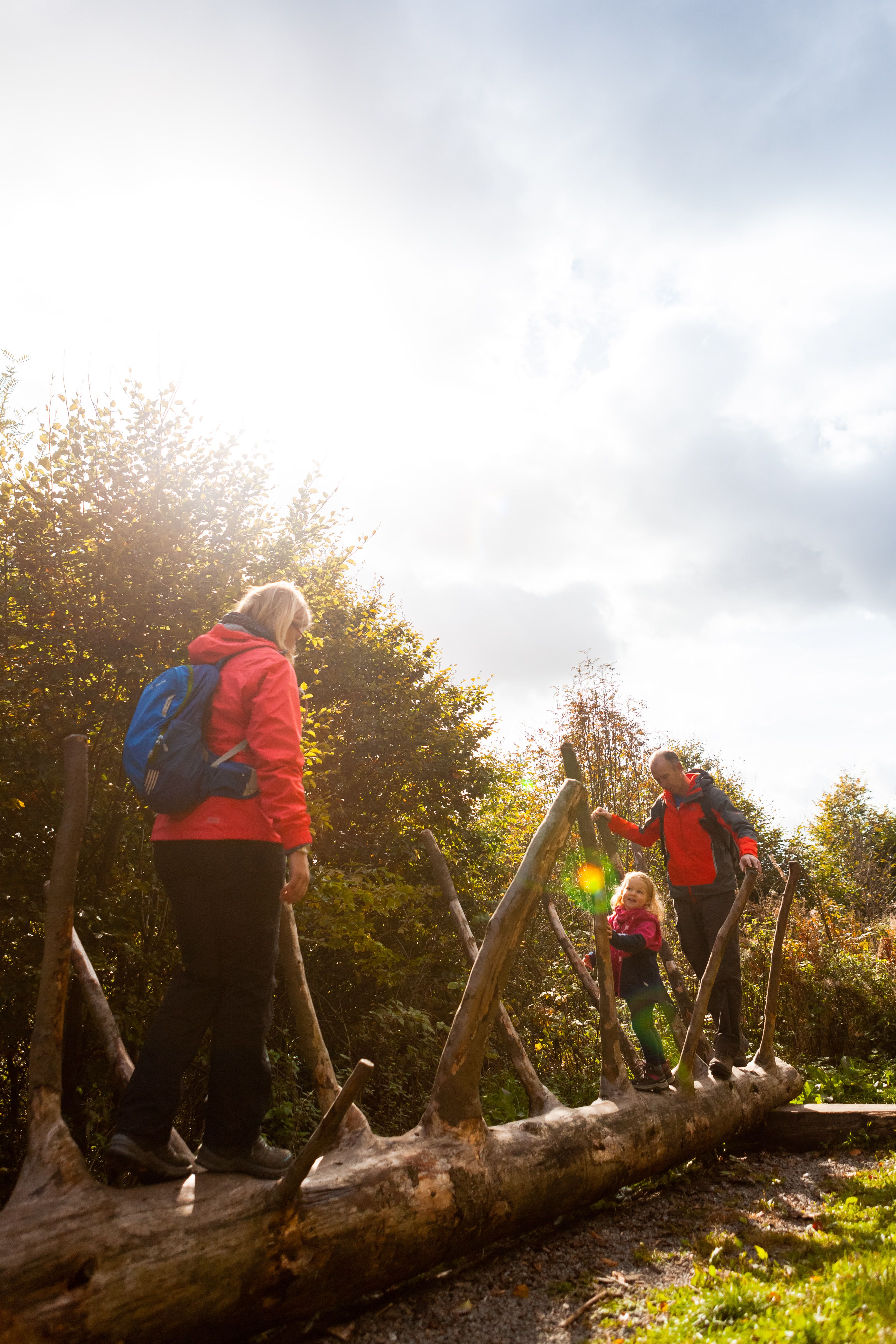 Tourismus NRW e.V., Waldfeenpfad in Brilon im Sauerland