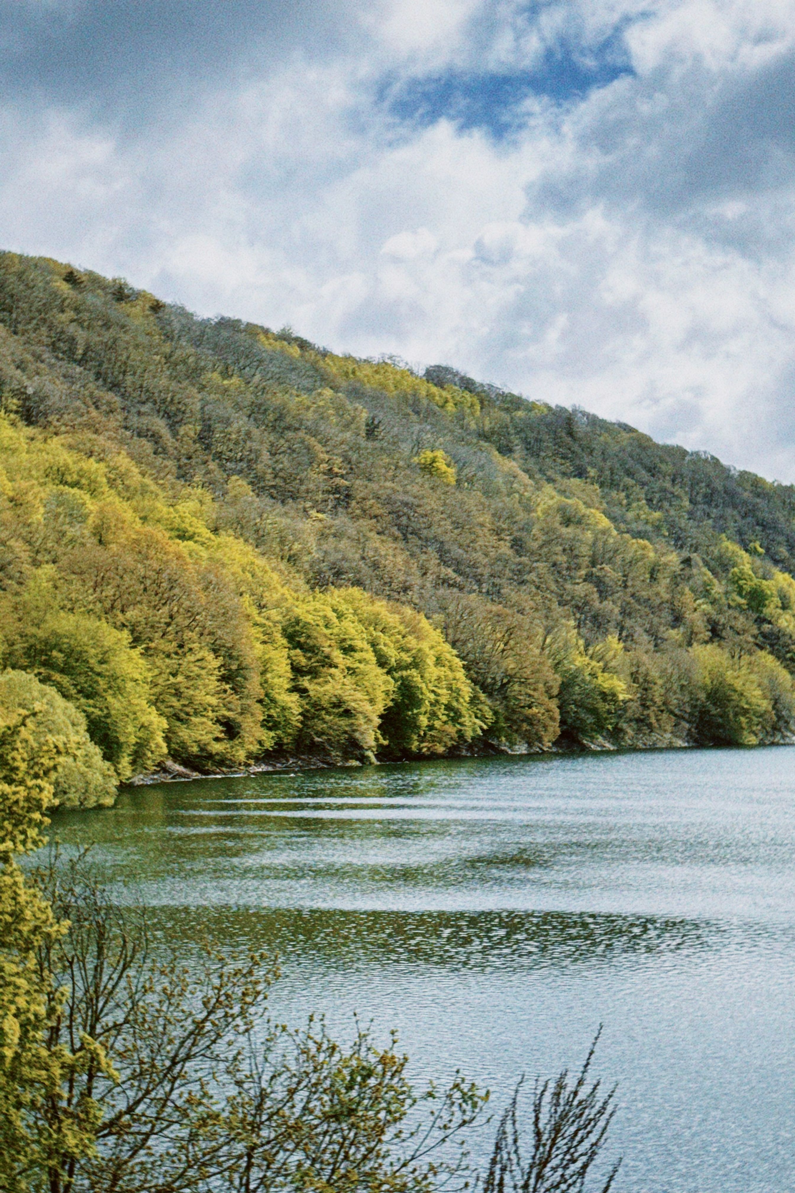 Tourismus NRW e.V., Ilonka Zantop, Wälder am Rande des Rursees in der Eifel