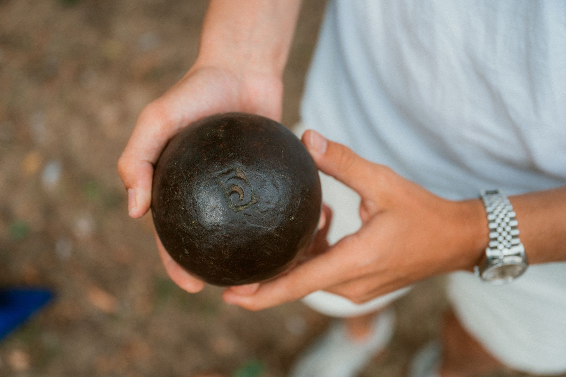 Canon games Boule Ball