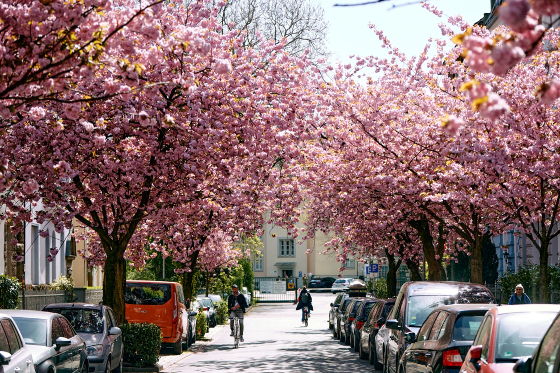 Aasee Münster Pardo Steg