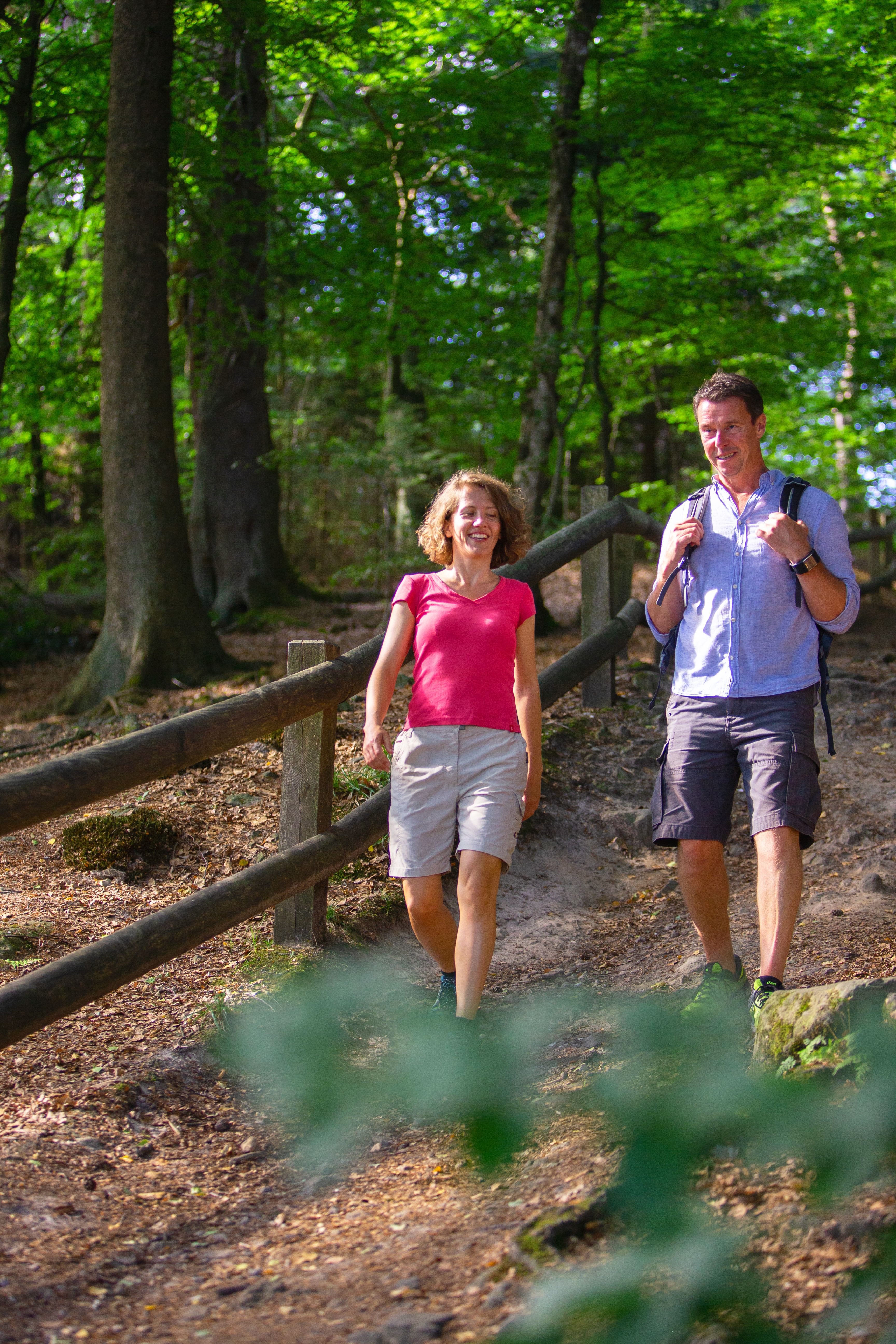 Teutoburger Wald Externsteine