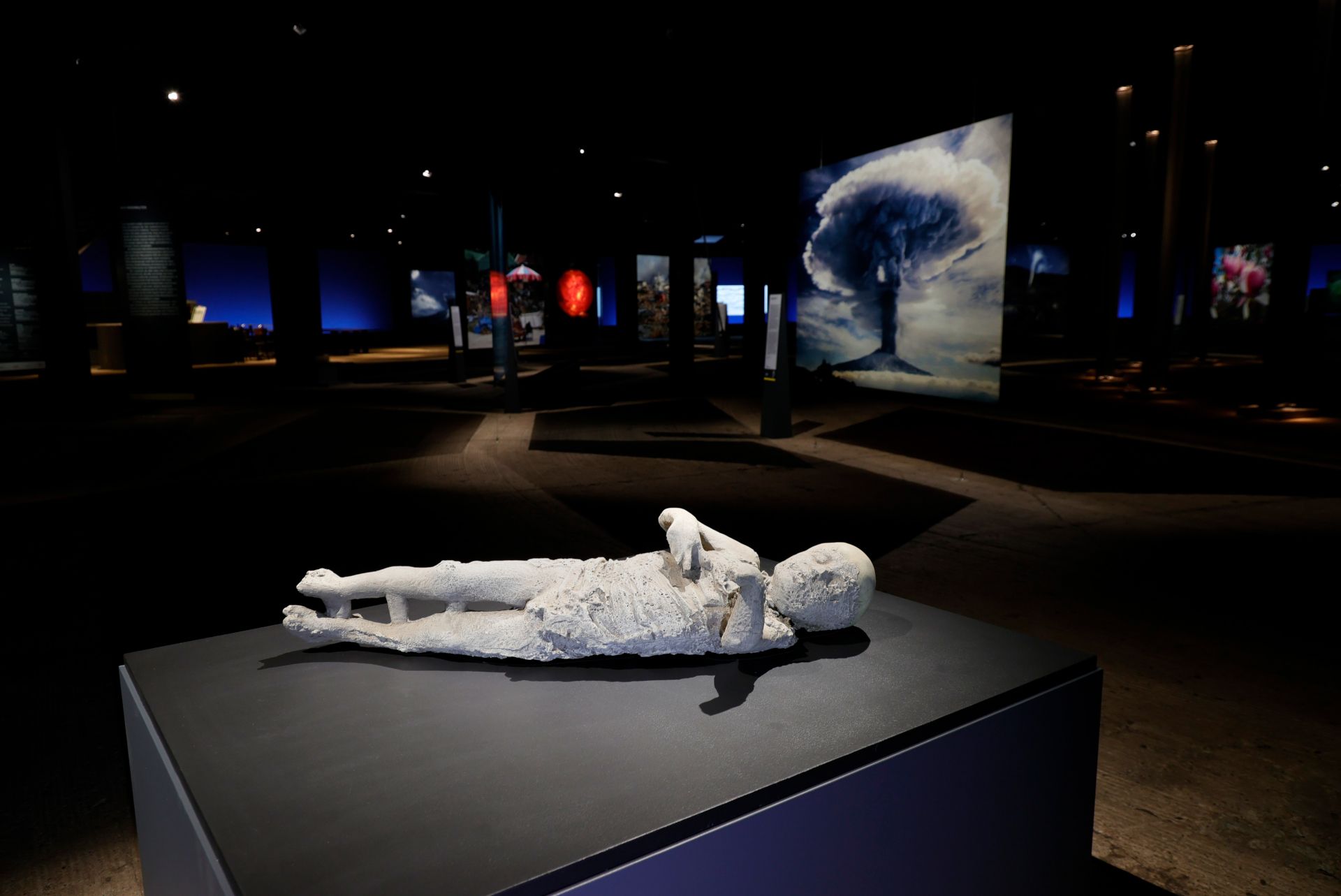 A three- to four-year-old child from Pompeii, who died in the eruption of Mount Vesuvius in 79 AD, was exhibited in the Fragile Paradise exhibition