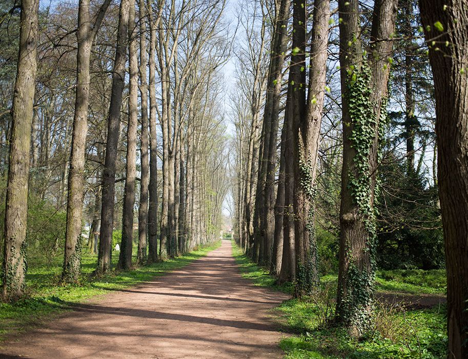 Travelers can discover wonderful nature around Türnich Castle. If you like, take a stroll along an avenue of lime trees