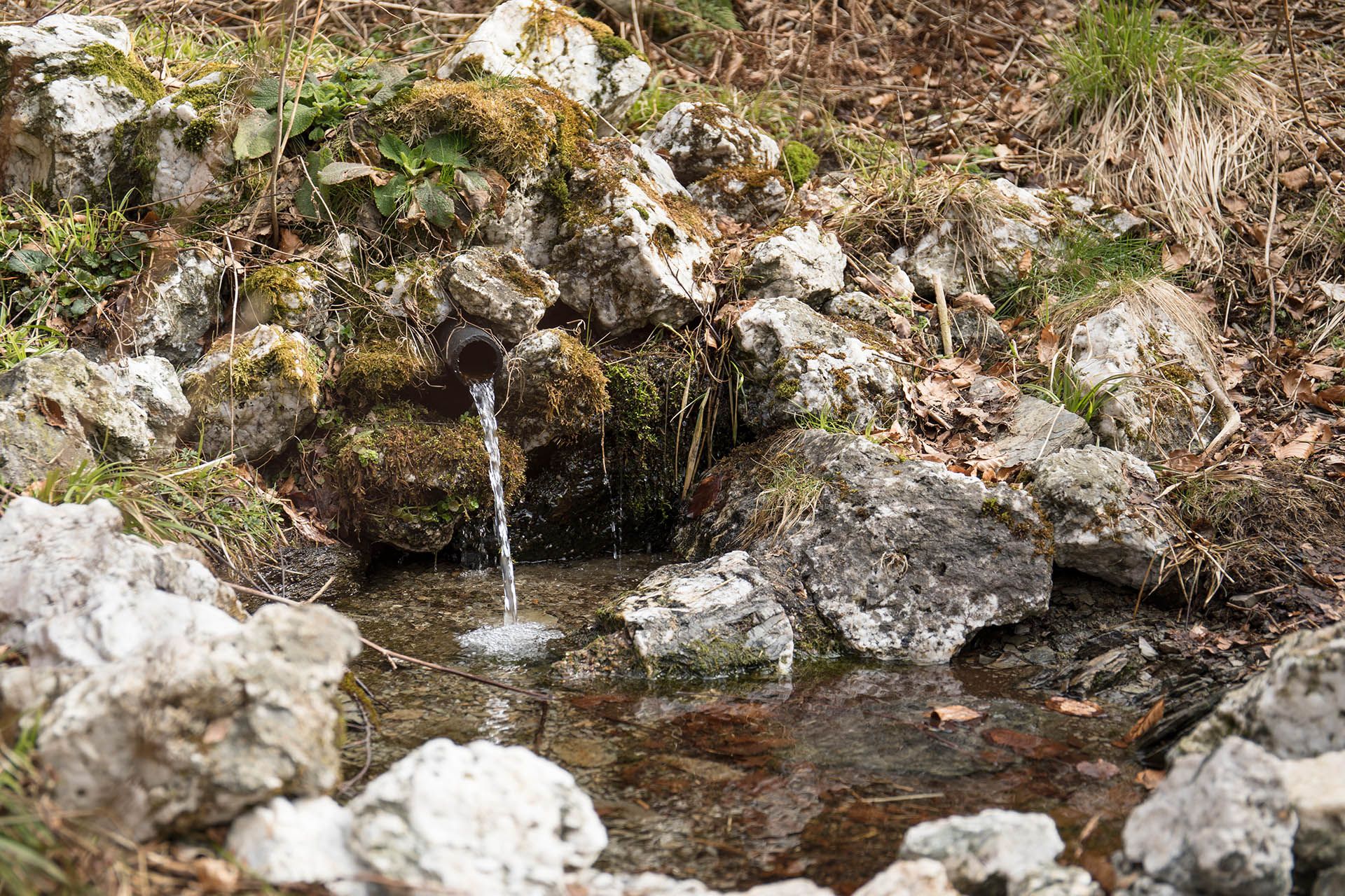 Spring near Olsberg