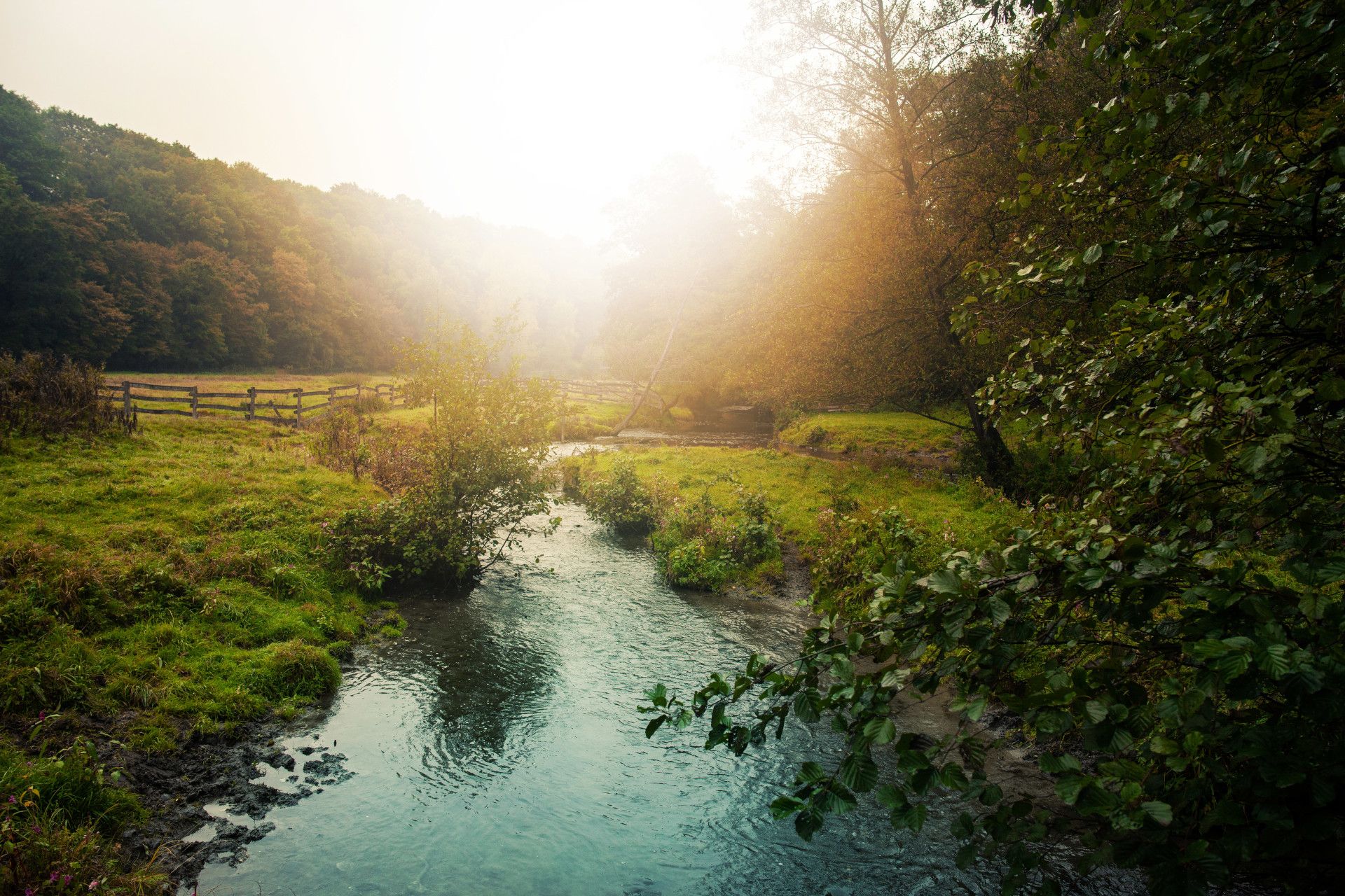 Tourismus NRW e.V., Eiszeitliches Wildgehege Bachtal mit Fluss Düssel