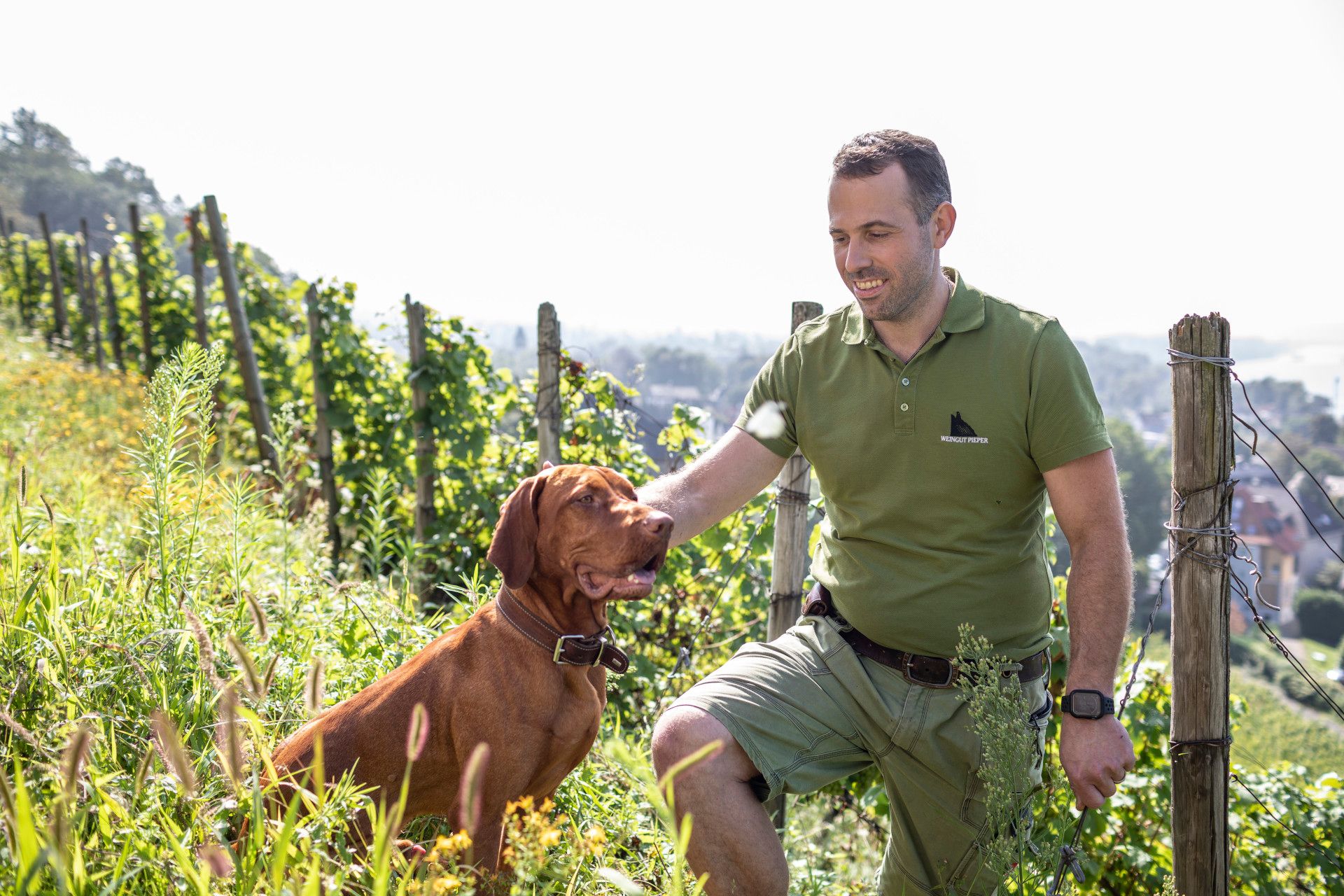 Tourismus NRW e.V., Ralph Sondermann, Felix Pieper im Weinhang mit Hund, Rhein-Sieg-Kreis