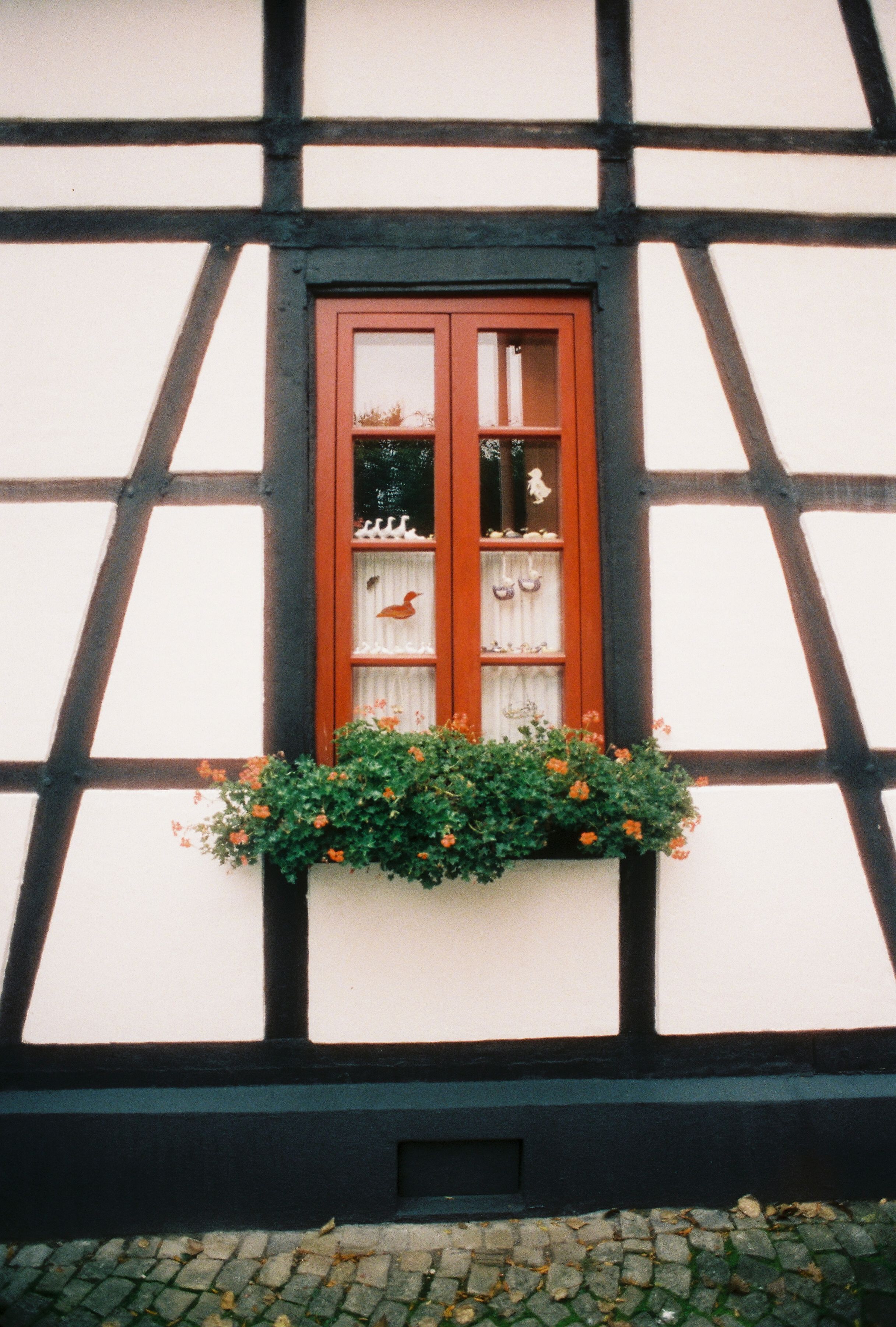 Johannes Höhn, Tourismus NRW e.V., Die Fassade eines Fachwerkhauses in Paderborn