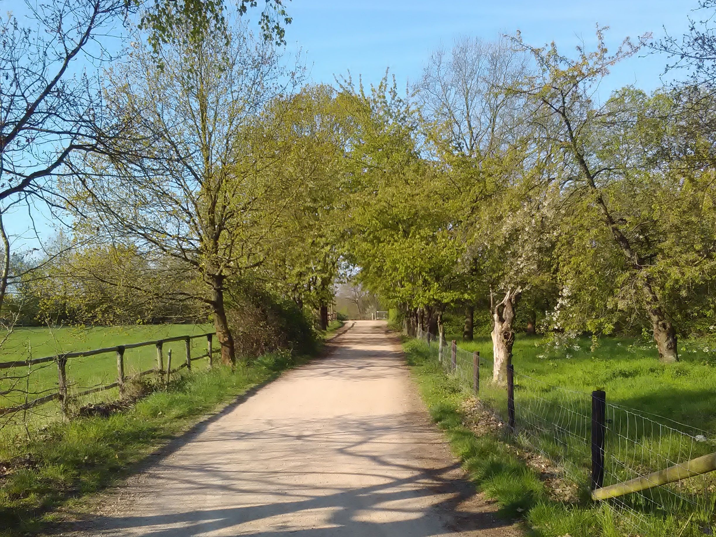 Kappesweg, Rhineland Nature Park