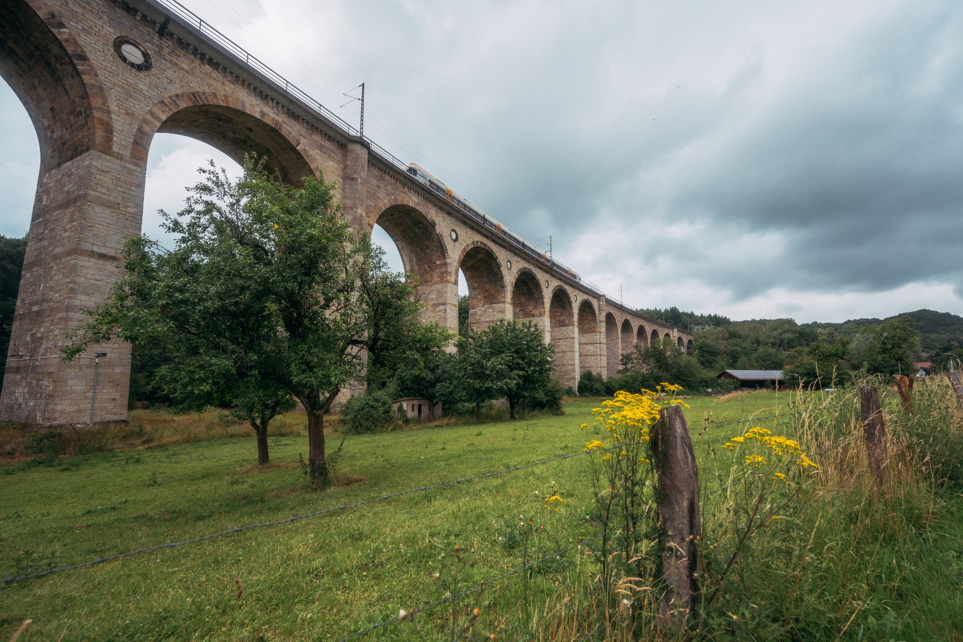 Viaduct with trees near Altenbecken