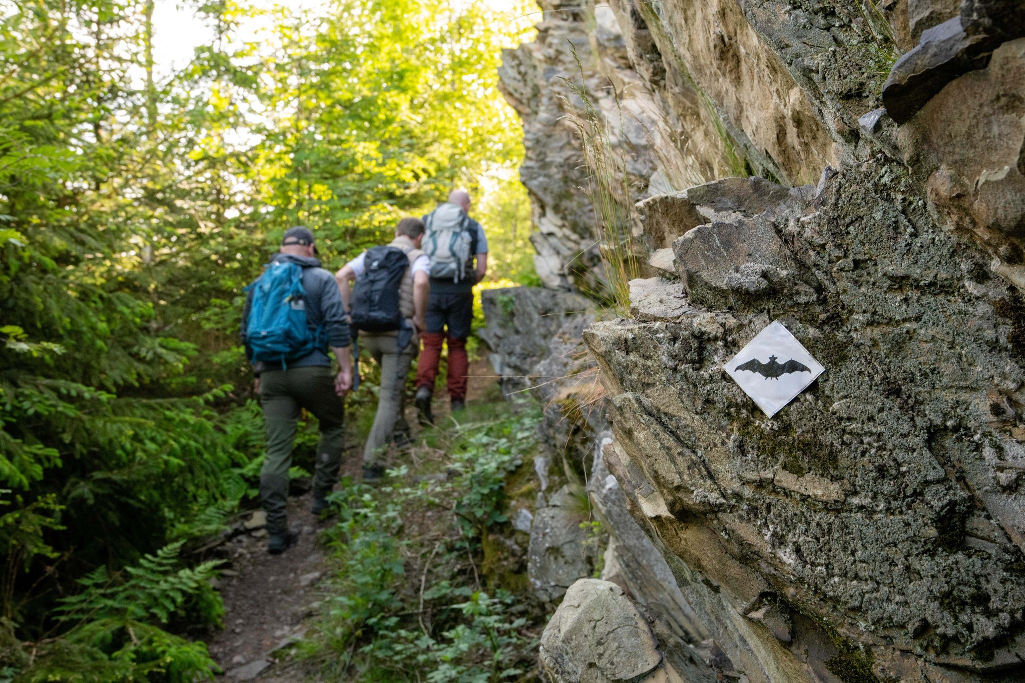 Hikers on the Wittgenstein slate trail