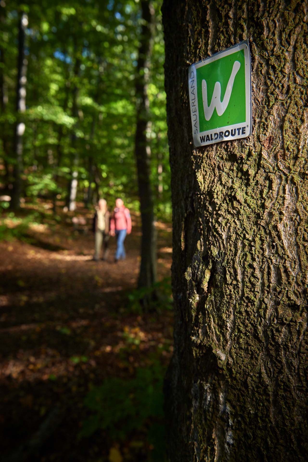 Sauerland Forest Route, Arnsberg Forest