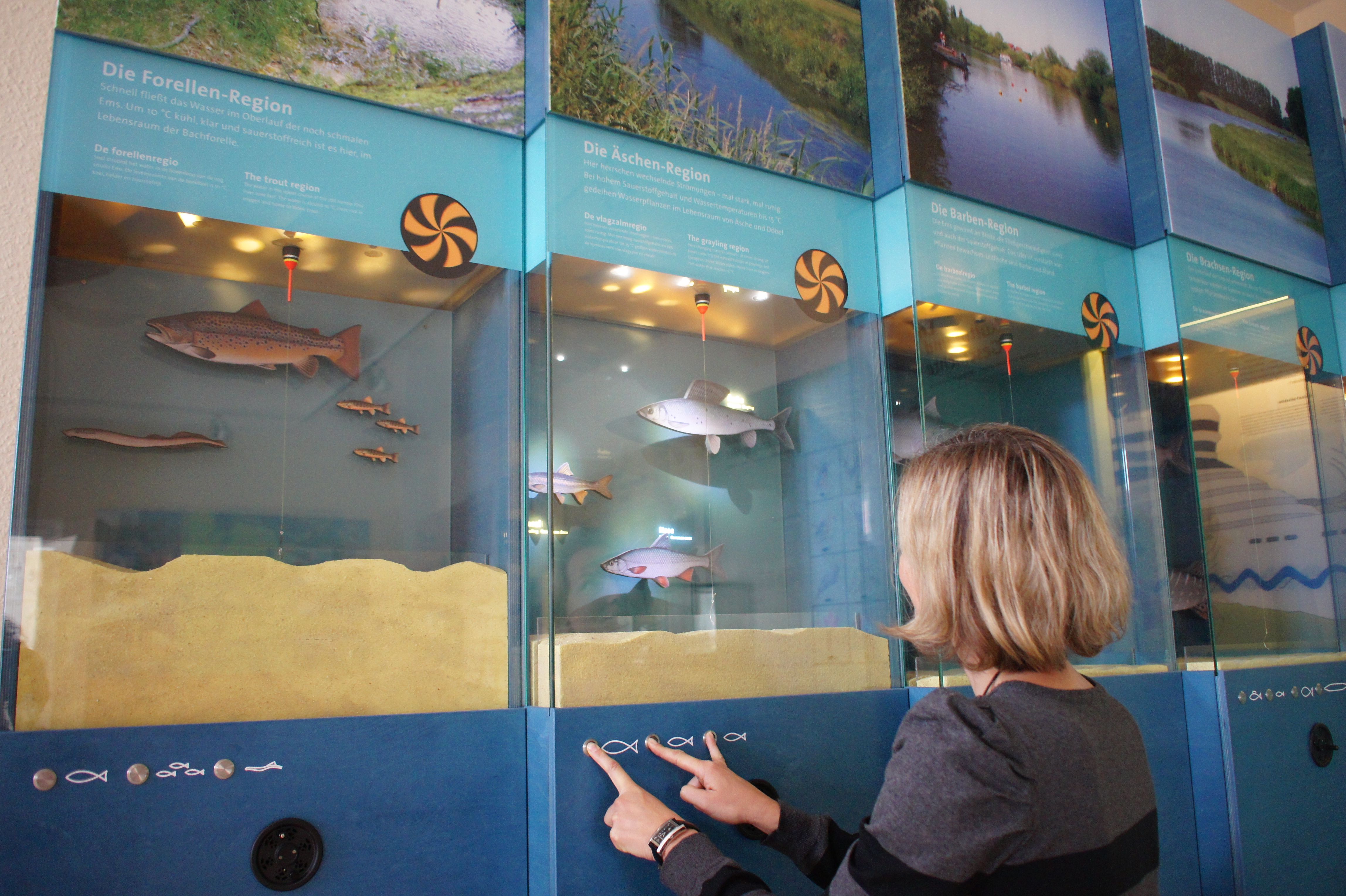 Interactive aquarium wall in the Ems Adventure World