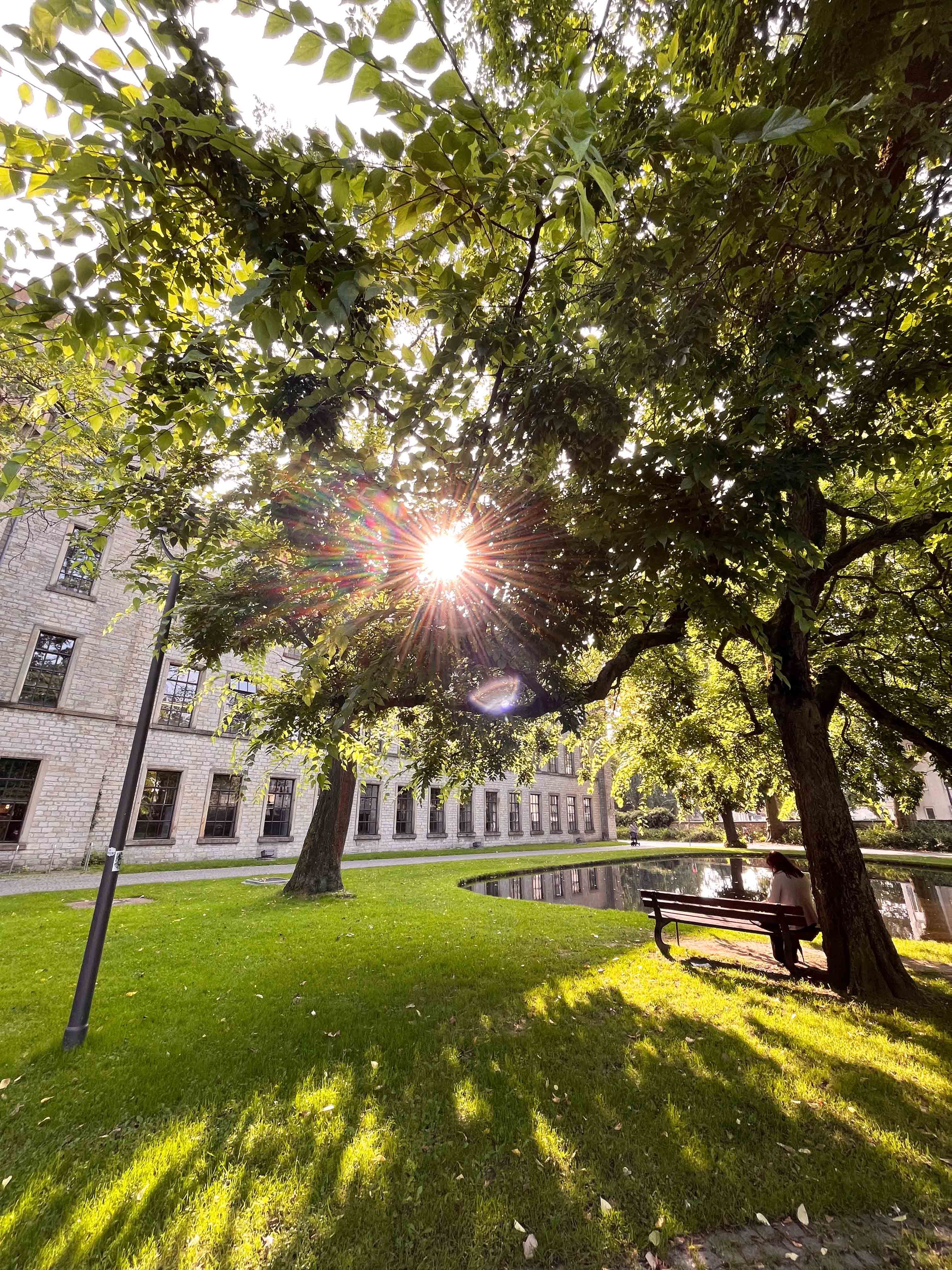 Sonnenschein im Ravensberger Park Bielefeld