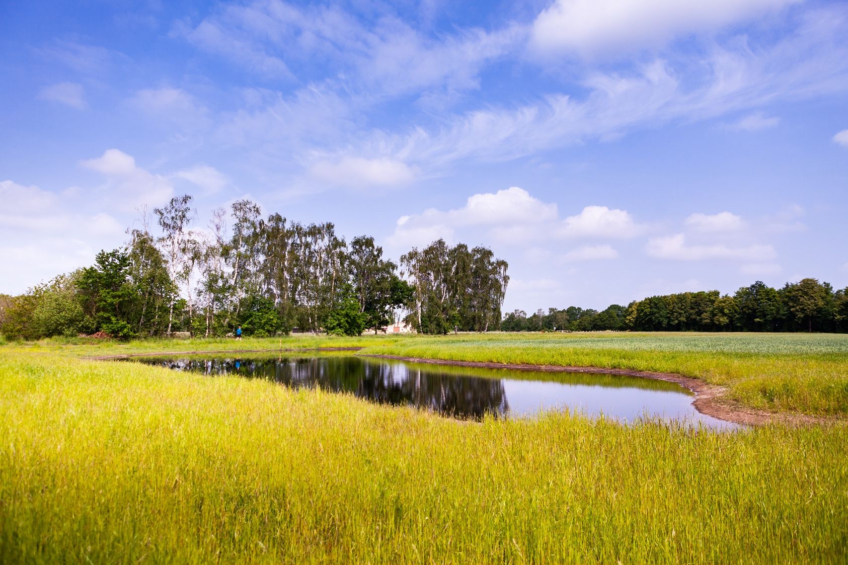 Hille Torfmoor Tümpel