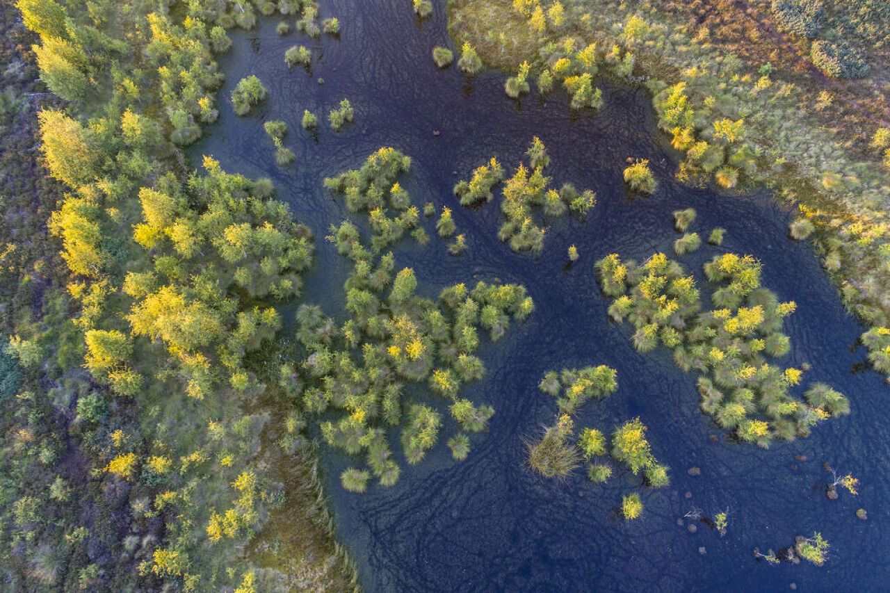 Dümmer Moor Nature Park from the air