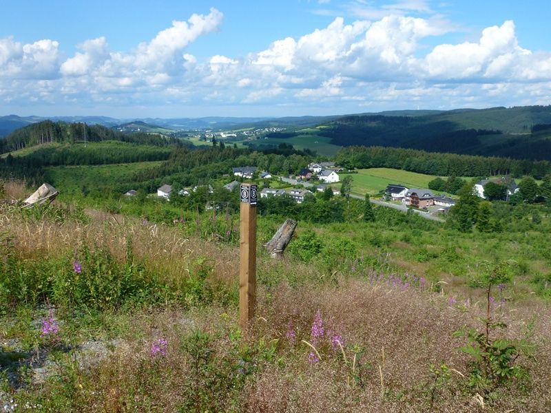 View of the valley from the Bestwig Panorama Trail