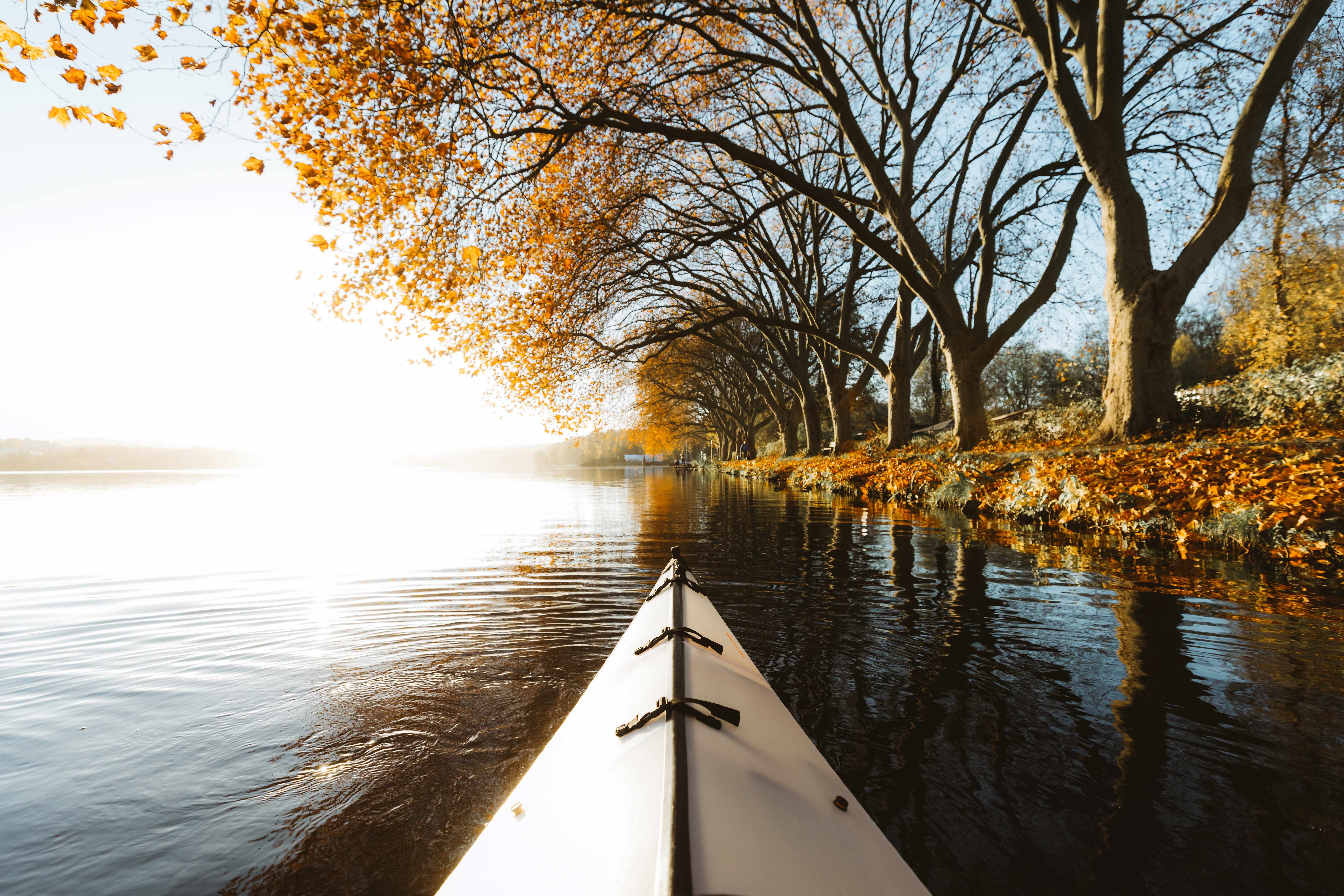 Kayaktour auf dem Baldeneysee in Essen