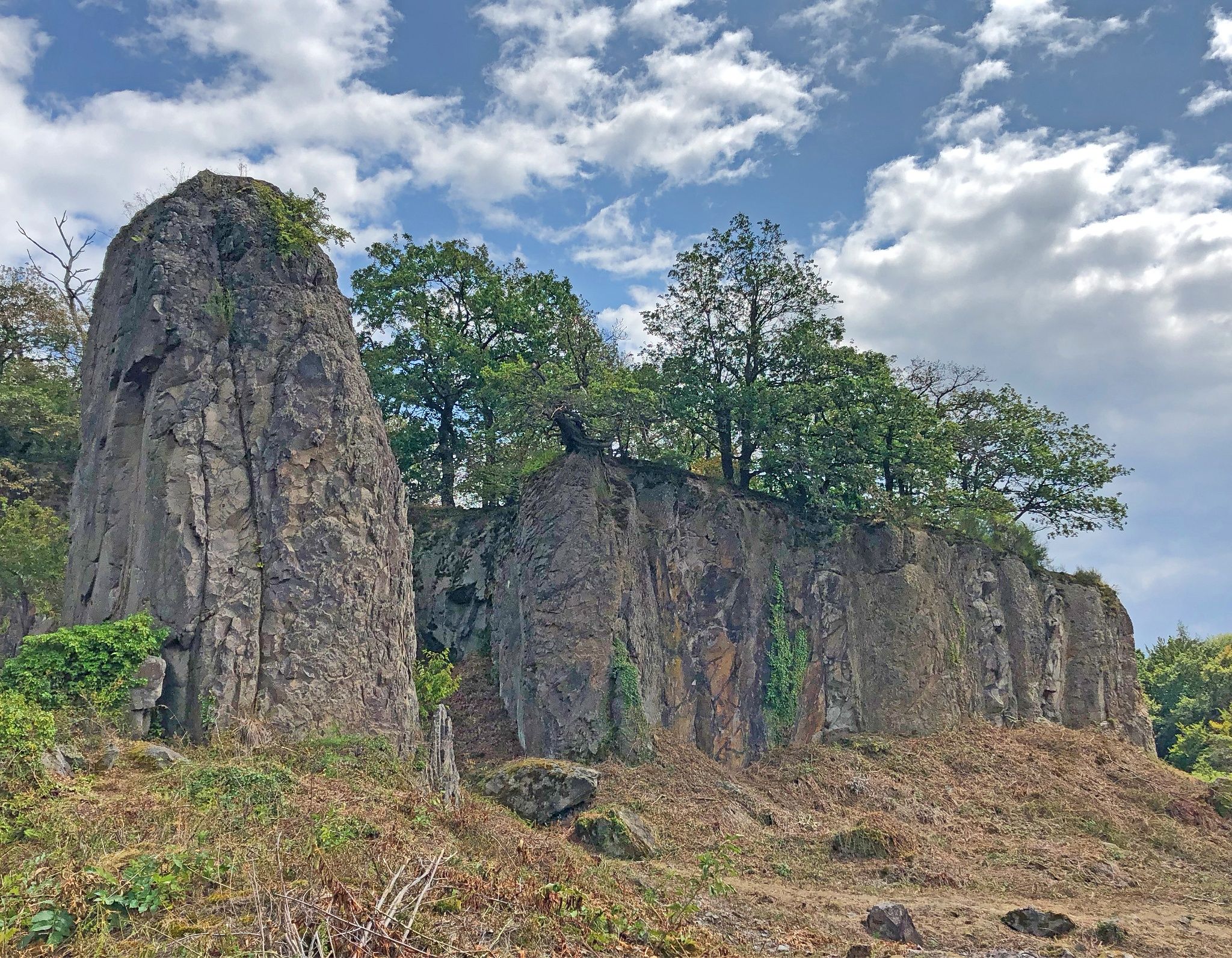 Stenzelberg with trees