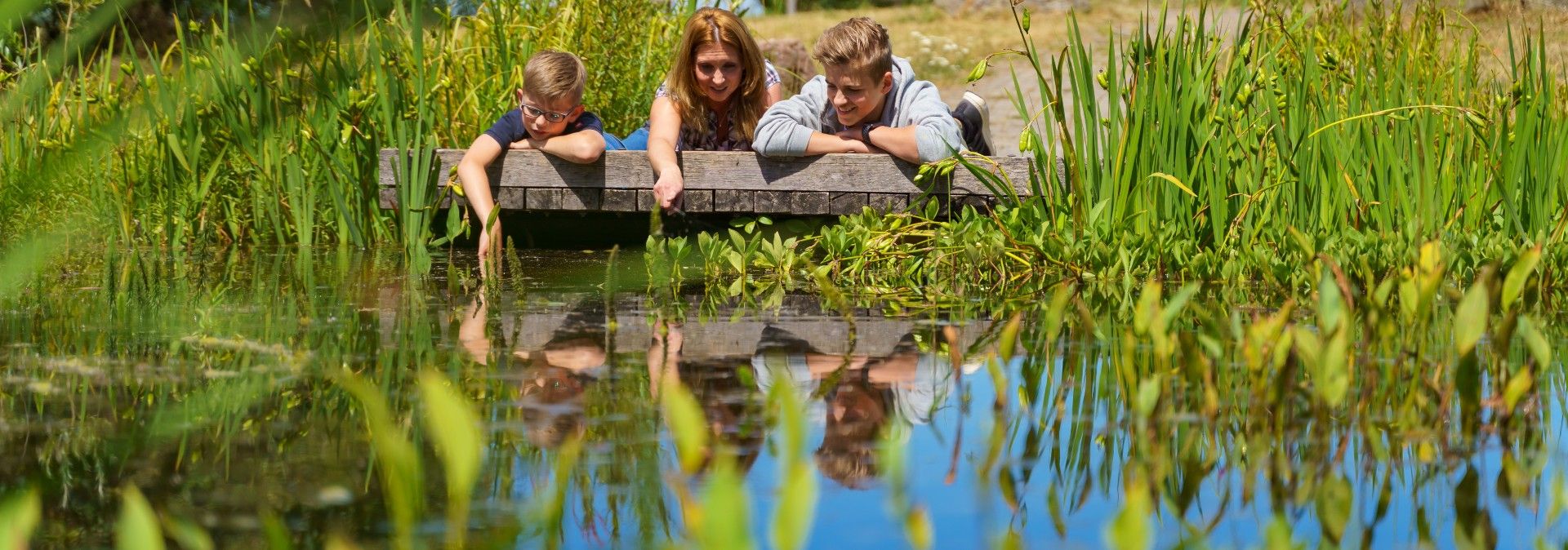 Pond for environmental education