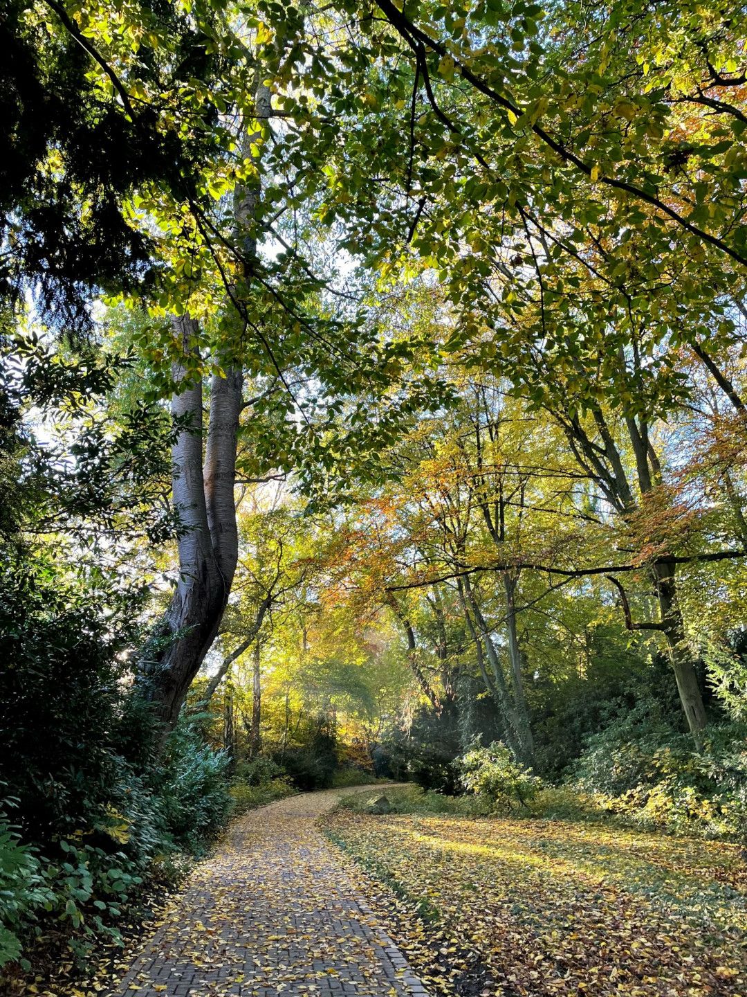 3 Türme Weg Hagen Stadtpark