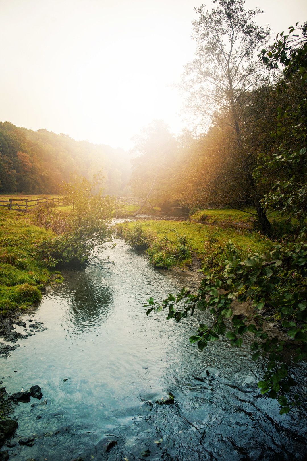 Ice Age game reserve Bachtal