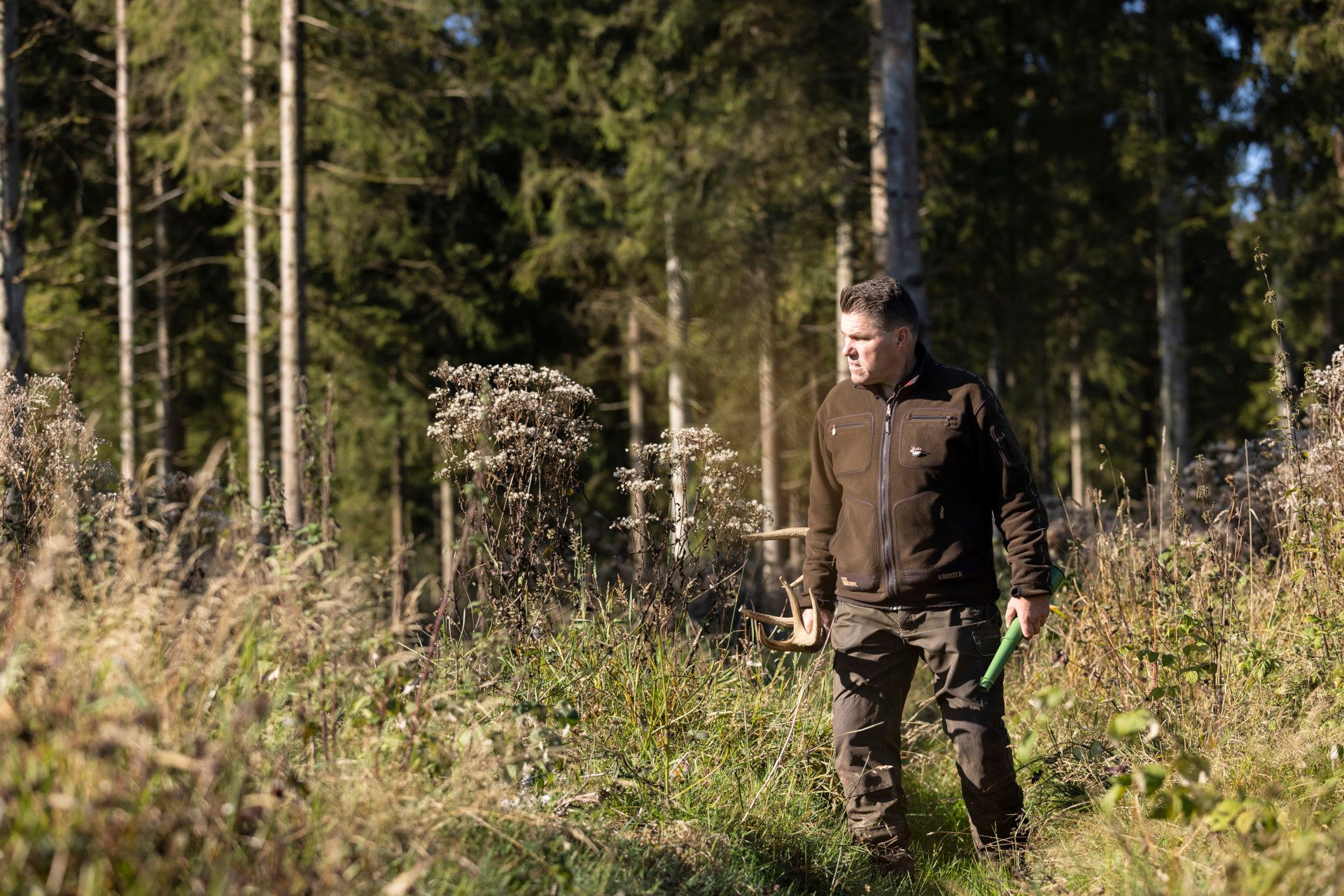 Tasso Wolzenberg auf Wiese, Siegen-Wittgenstein