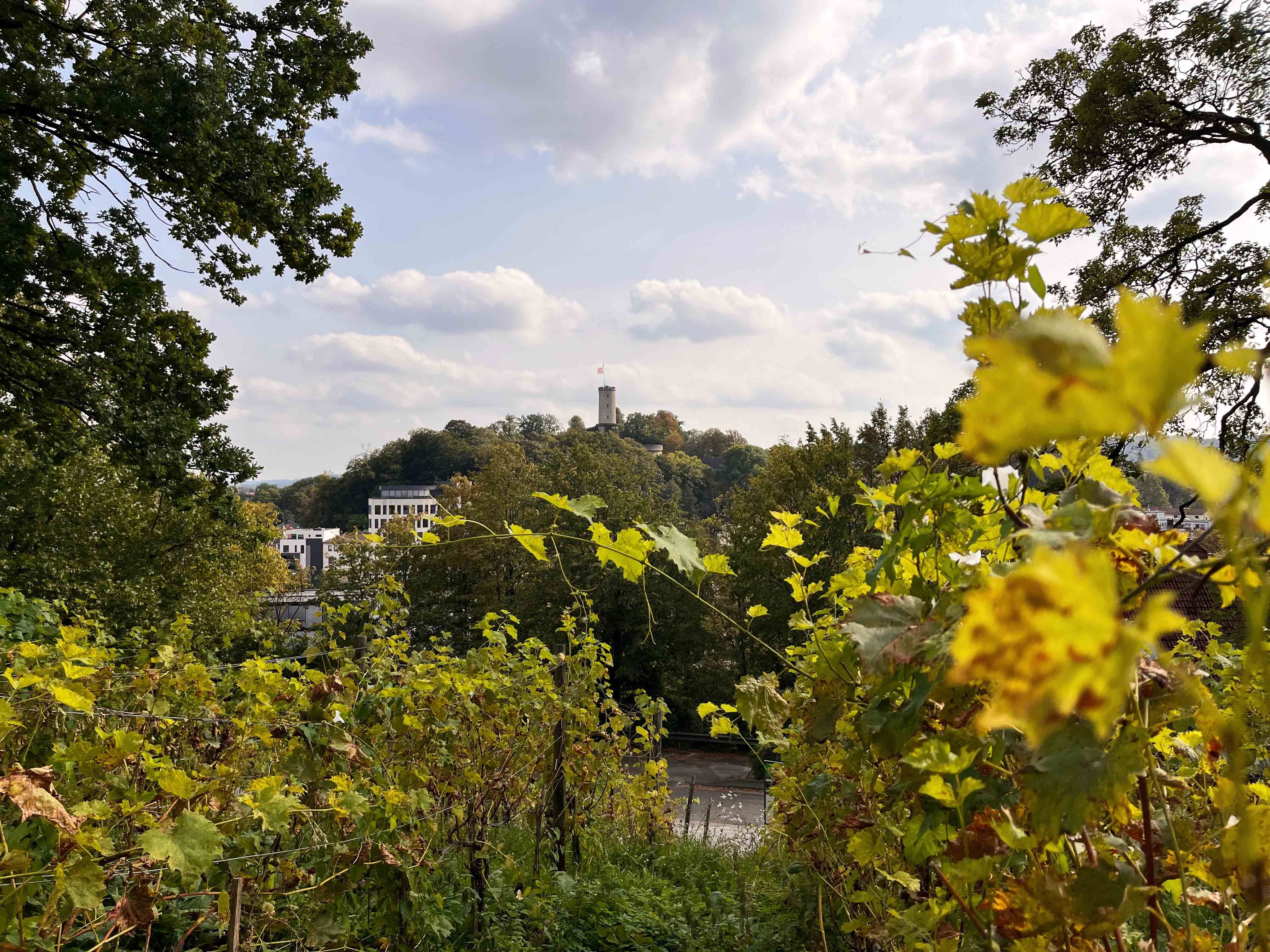 Blick auf Sparrenburg Bielefeld vom Johannisberg