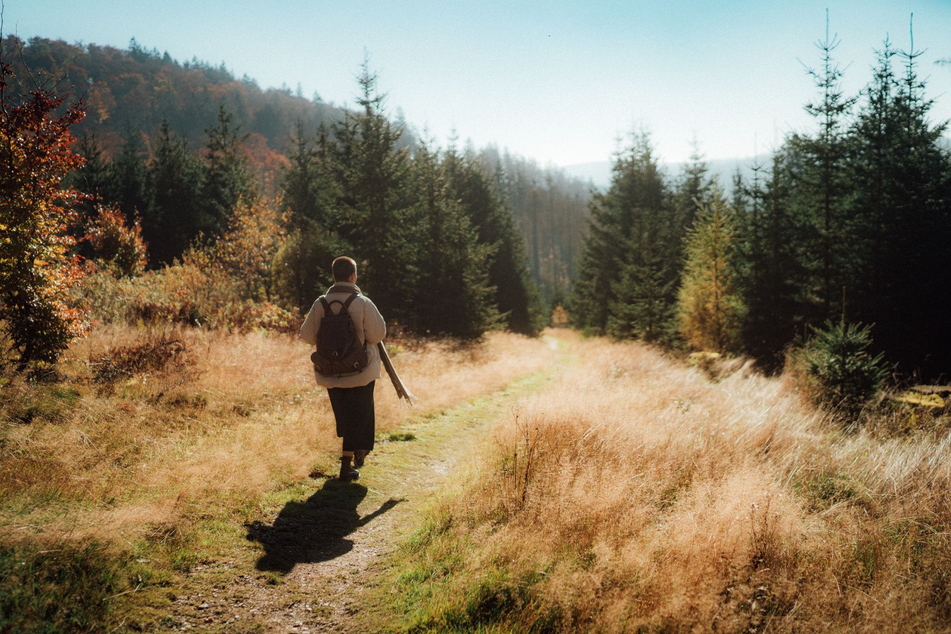 Wanderin auf Feld