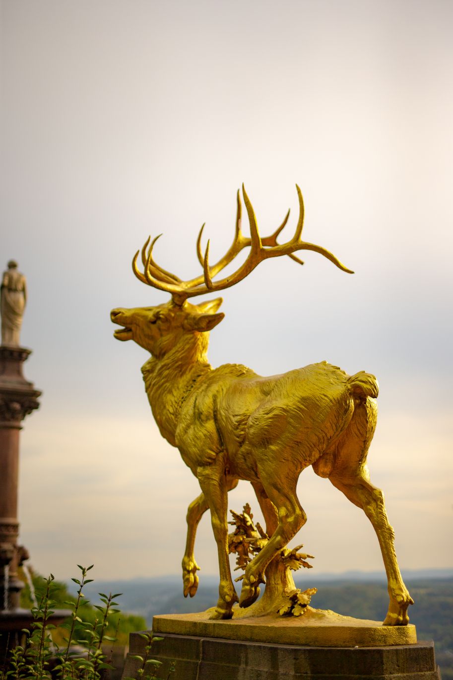 The golden stags: they are an unmistakable trademark of the magnificent building in Königswinter