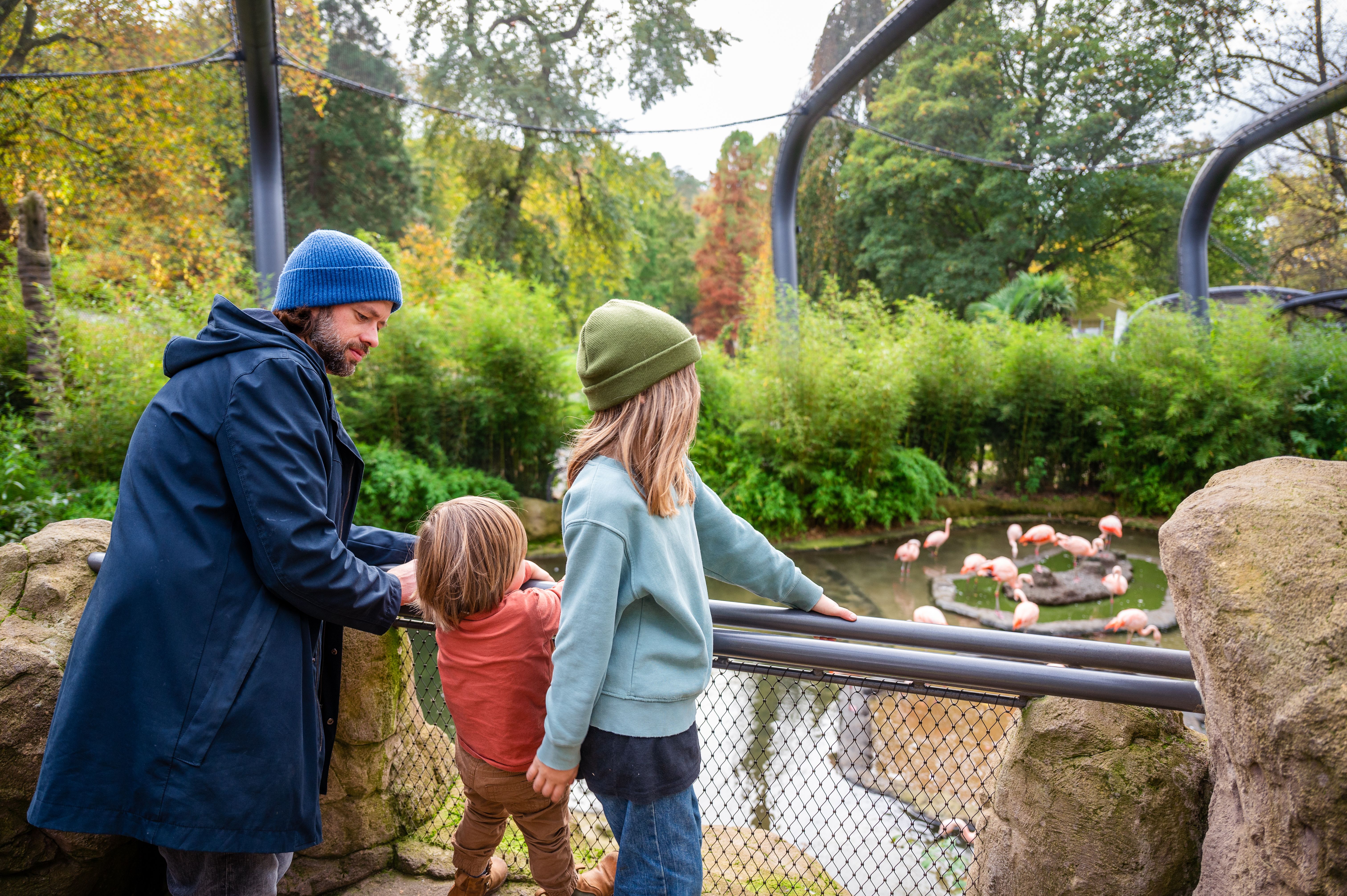 The Green Zoo Wuppertal