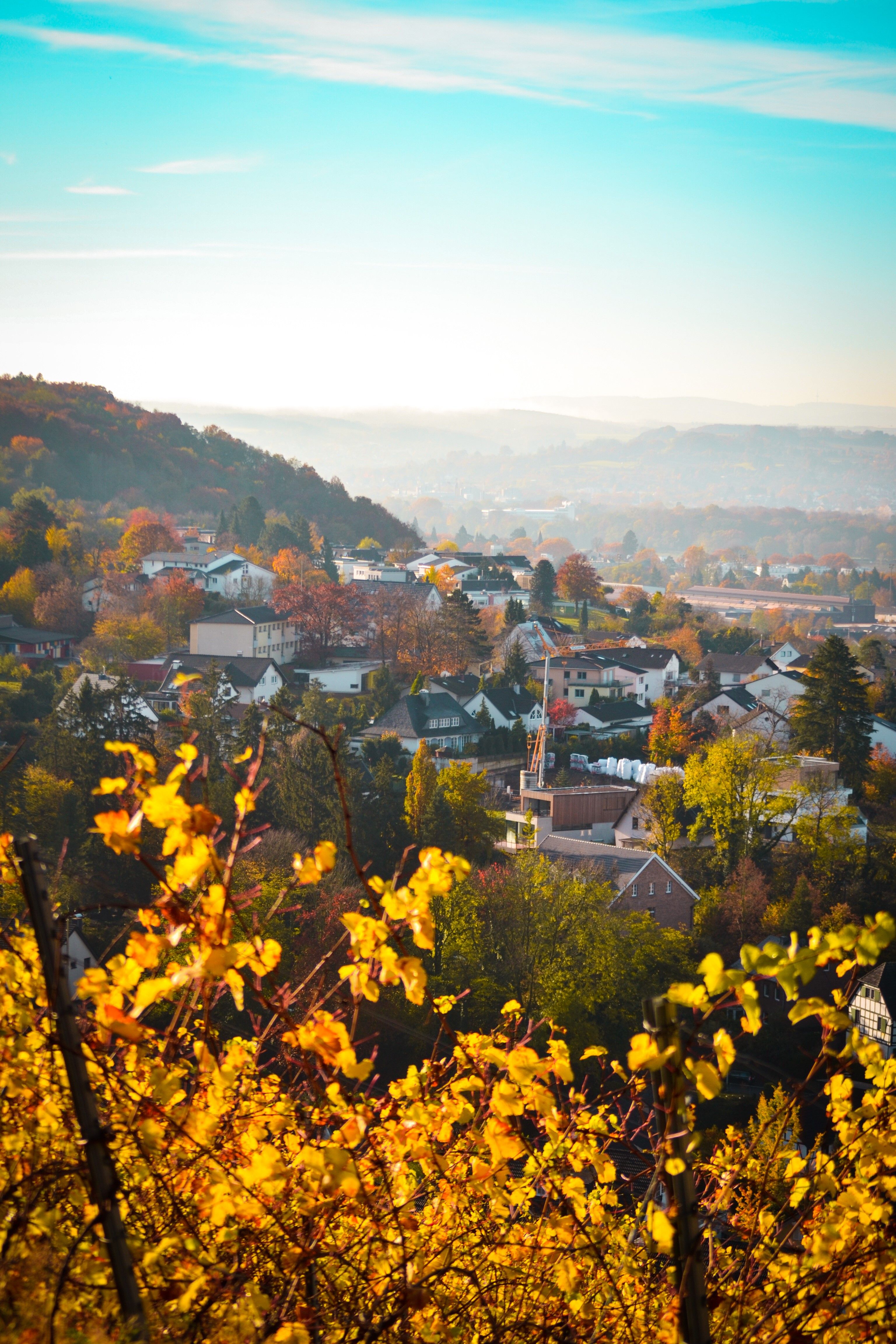 View of Oberdollendorf