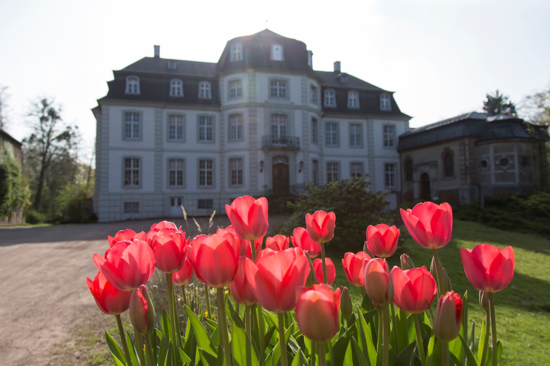 Blumen vor Schloss Türnich, Rhein-Erft-Kreis