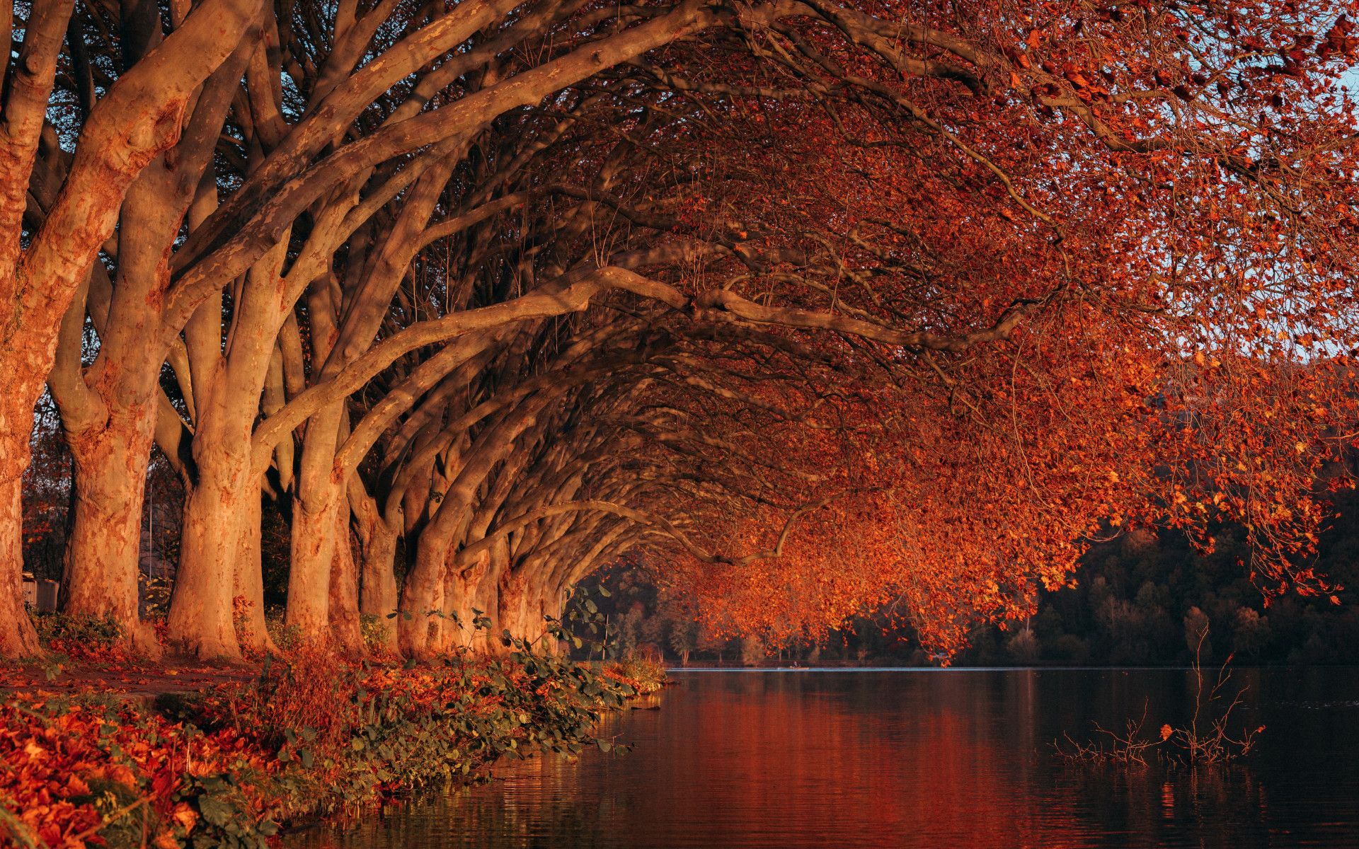 Autumn atmosphere at Lake Baldeney in Essen