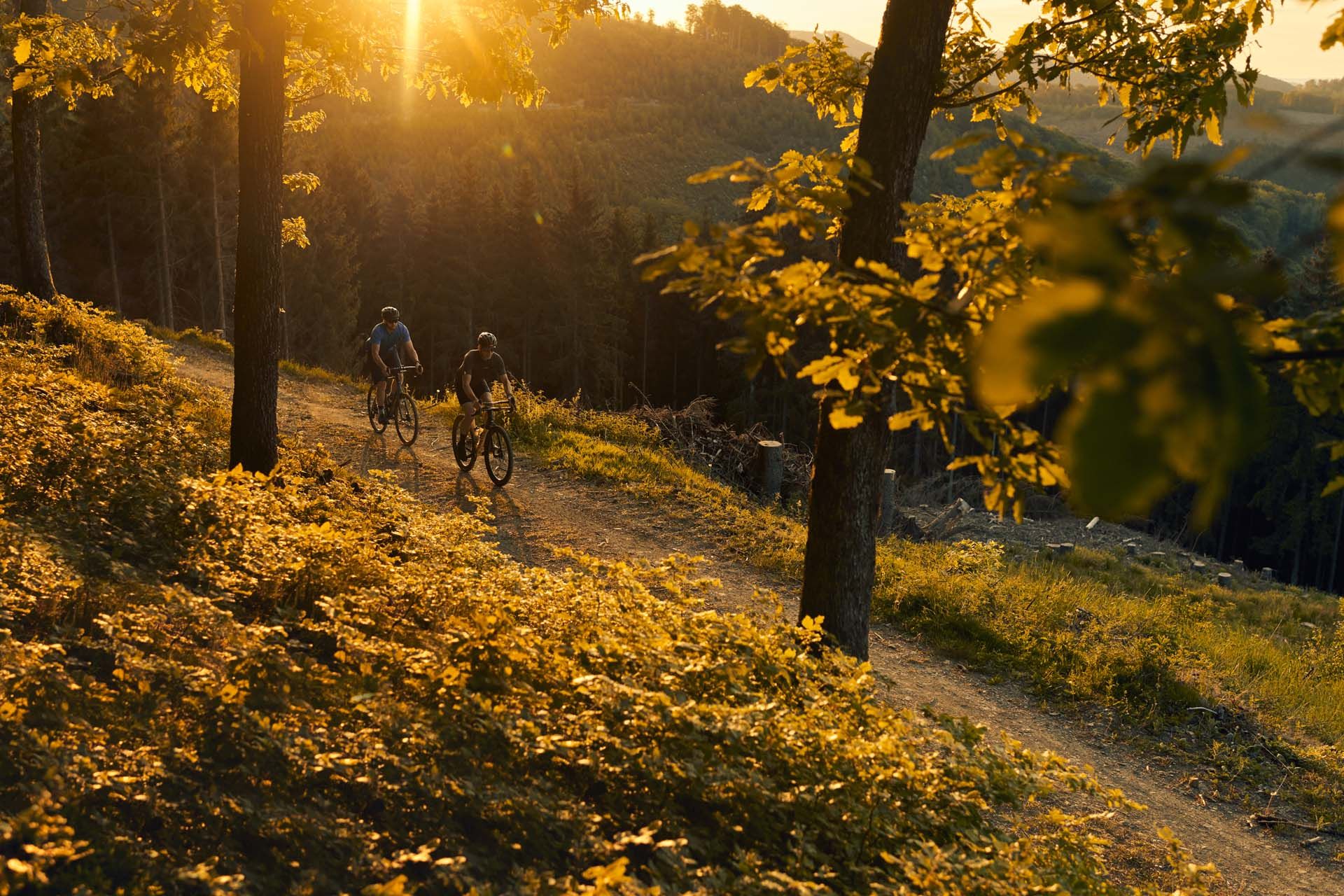 Gravel biking, Diemelsee Nature Park