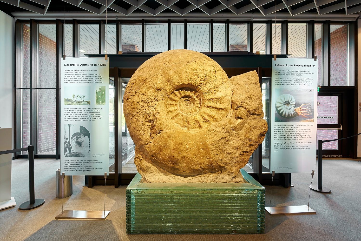 The photo shows the exhibition area of the museum.