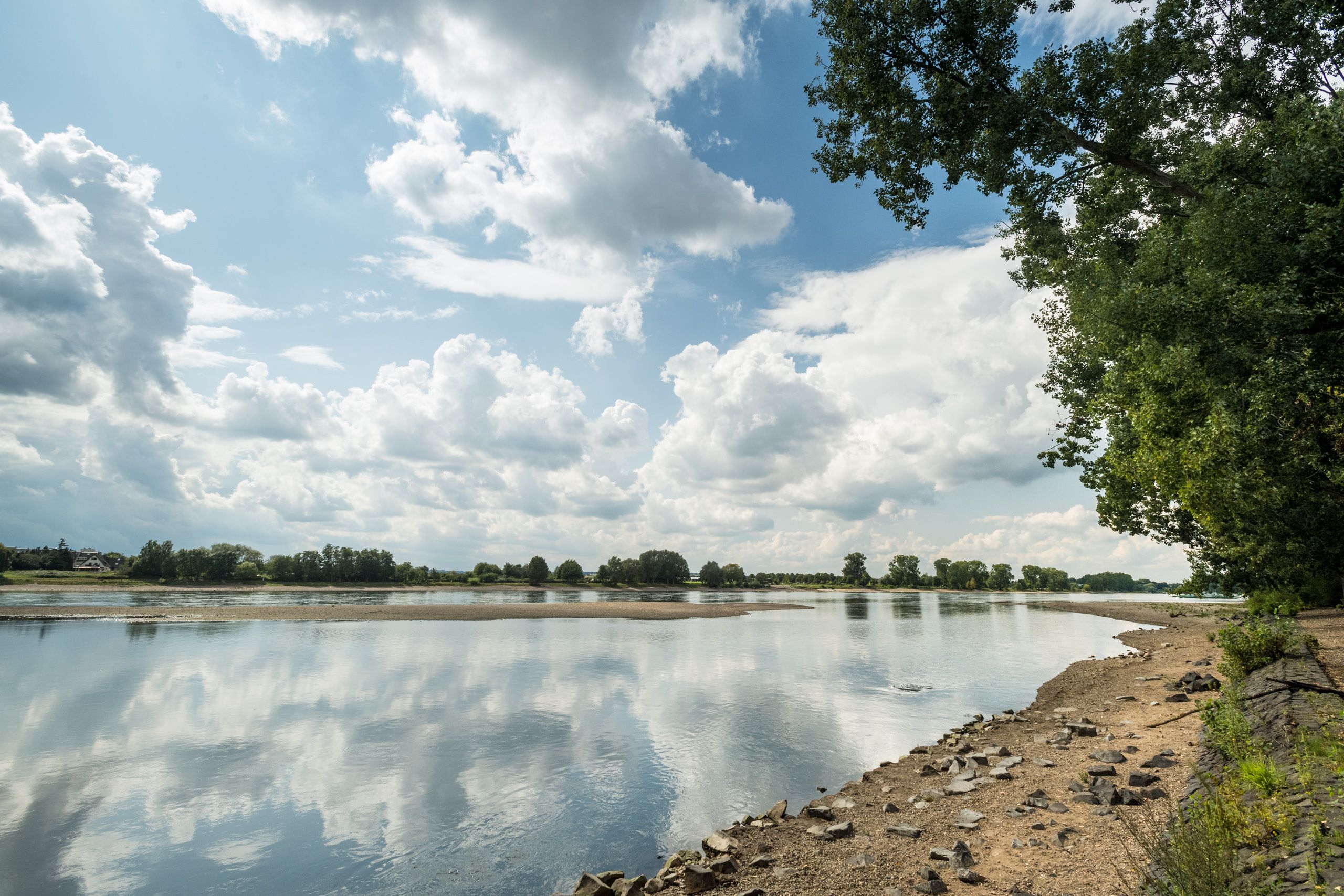 Rhine cycle path Am Ufer