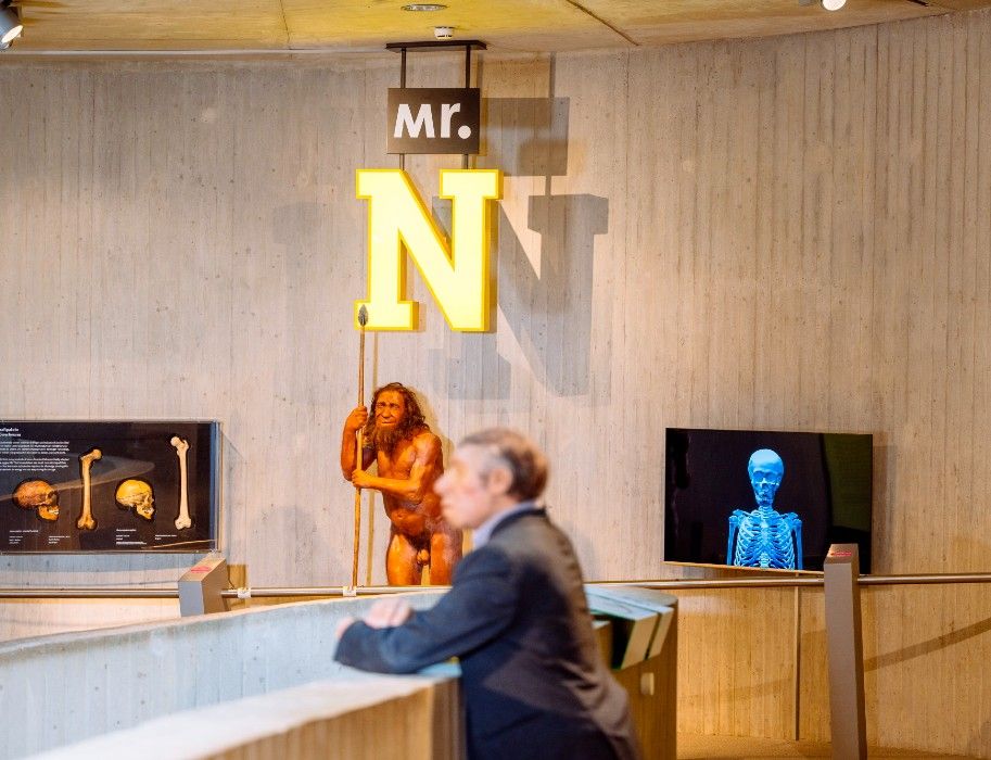 Mr. N is the star of the Neanderthal Museum as a lifelike reconstruction of the Neanderthal man