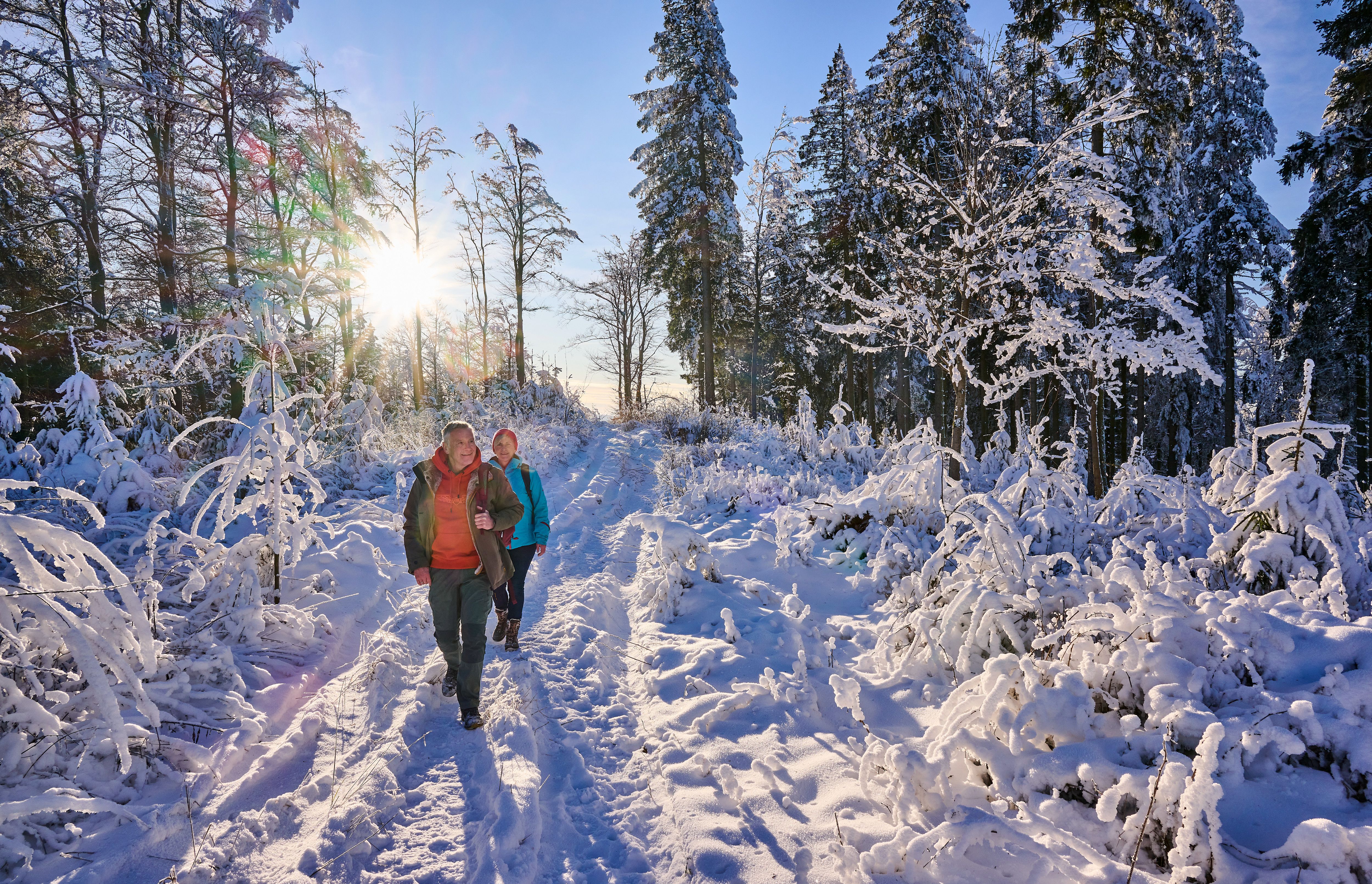 Two hikers on a winter walk